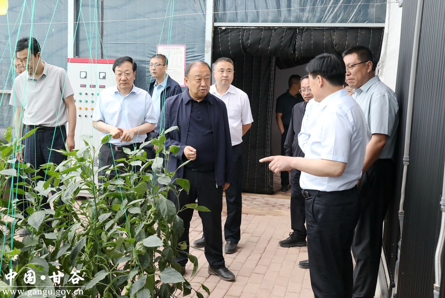 微信图片_20240614074028