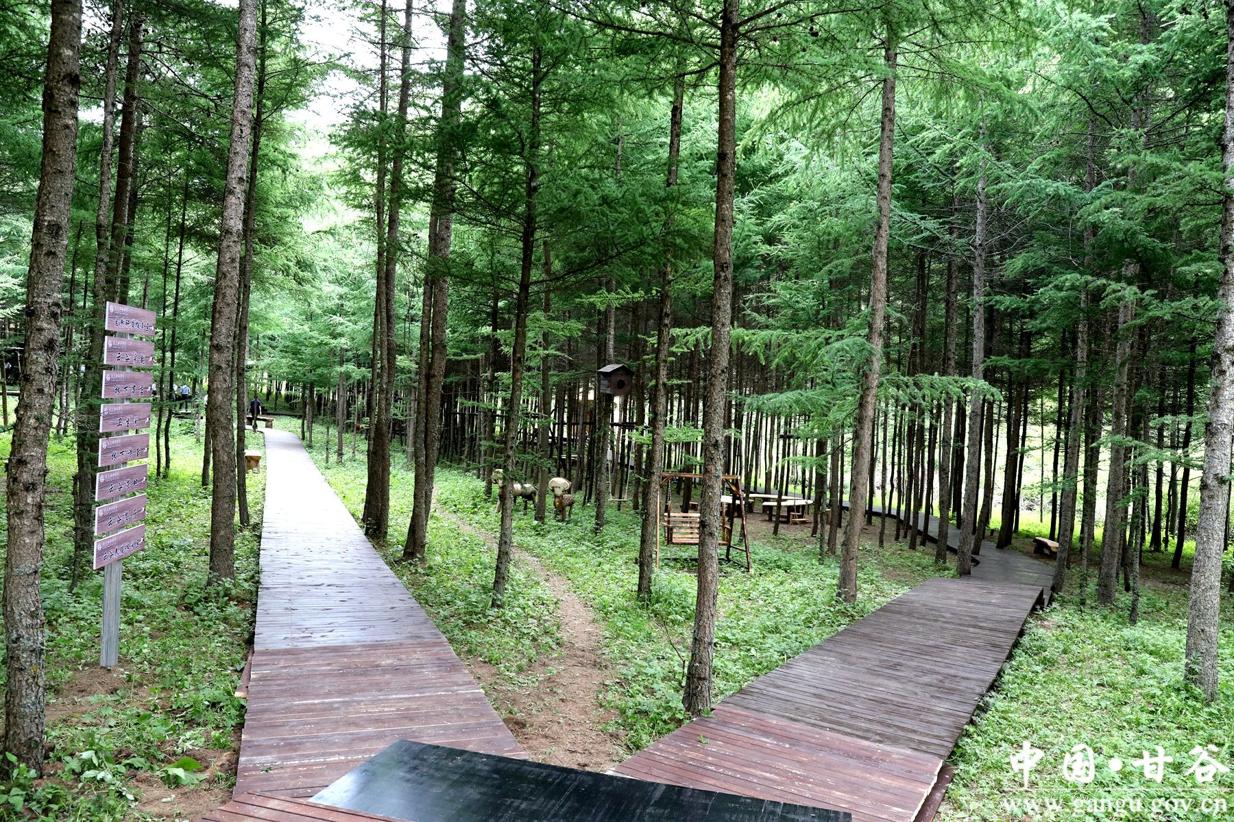 微信图片_20240614073309