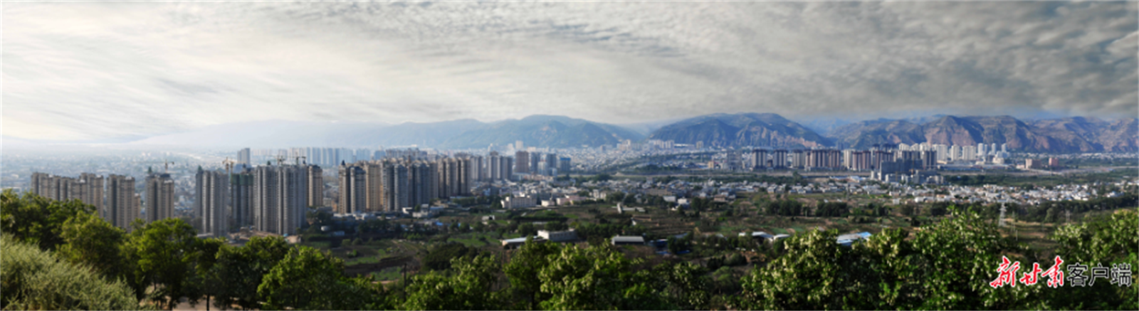 微信截图_20230811154704