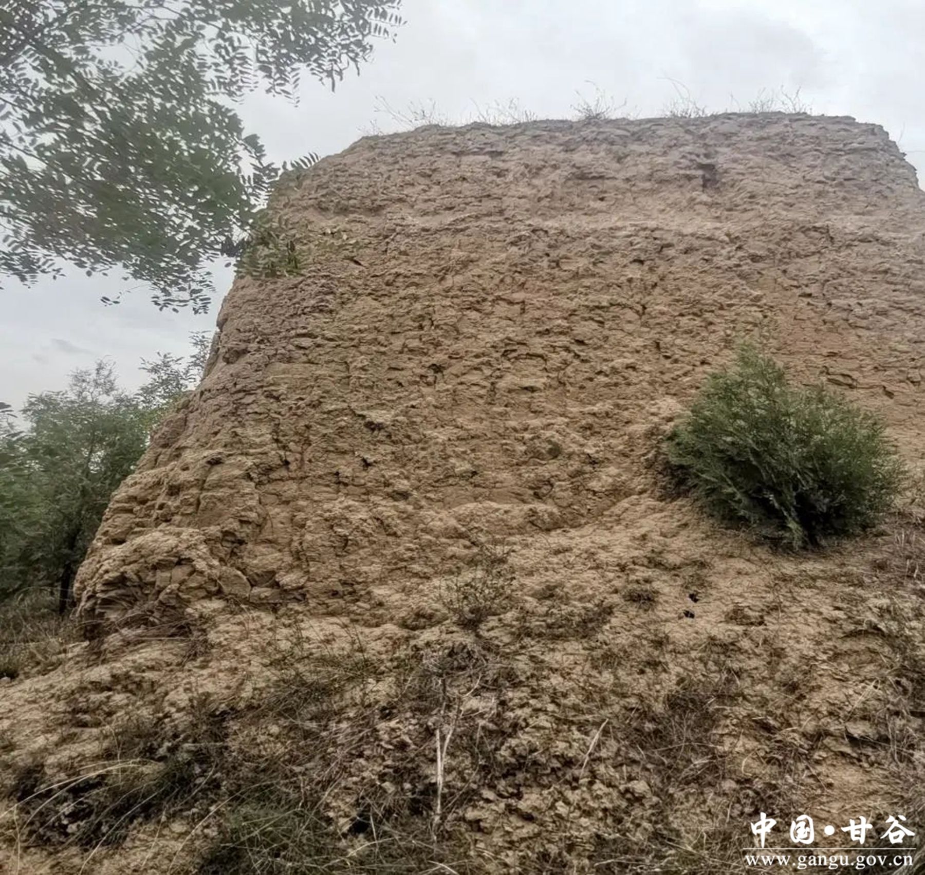 微信图片_20231124162442