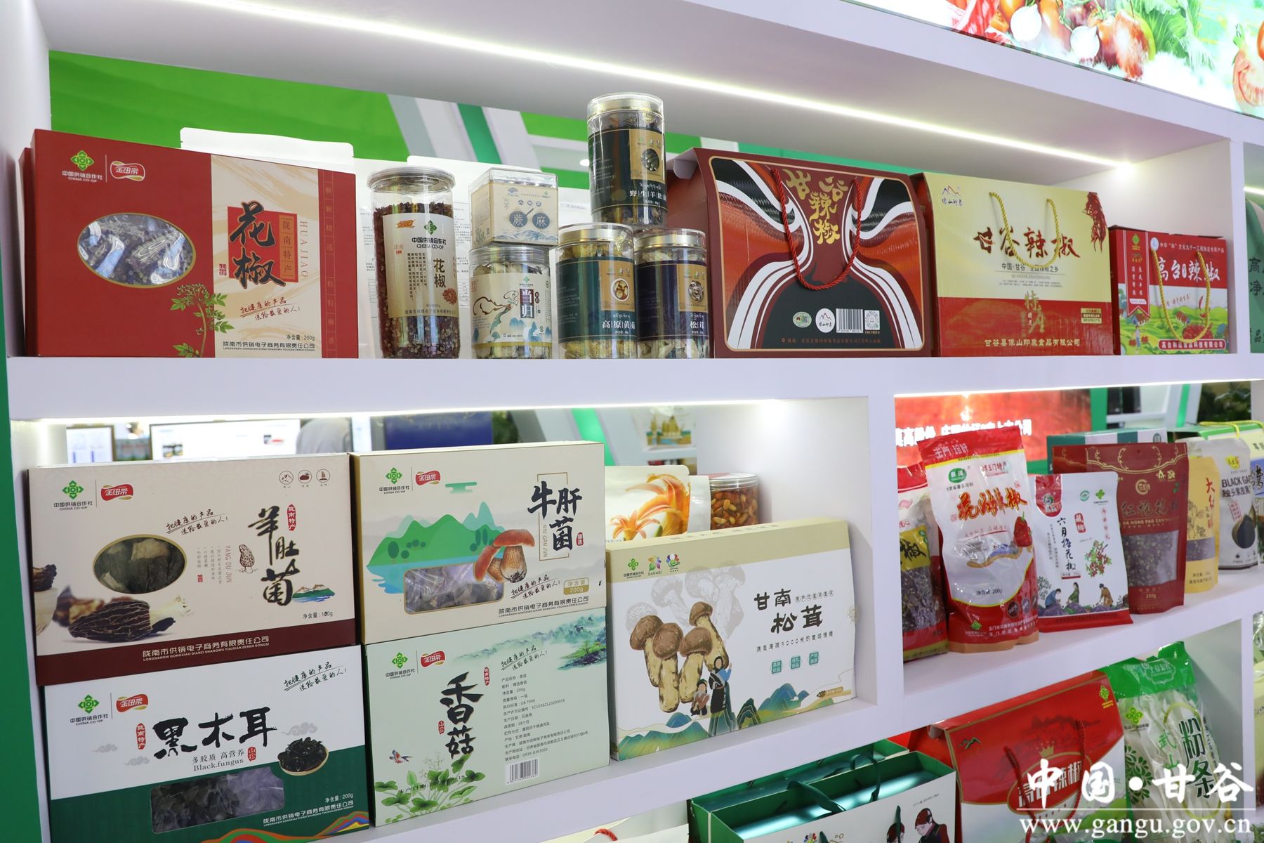 微信图片_20240706160339_副本