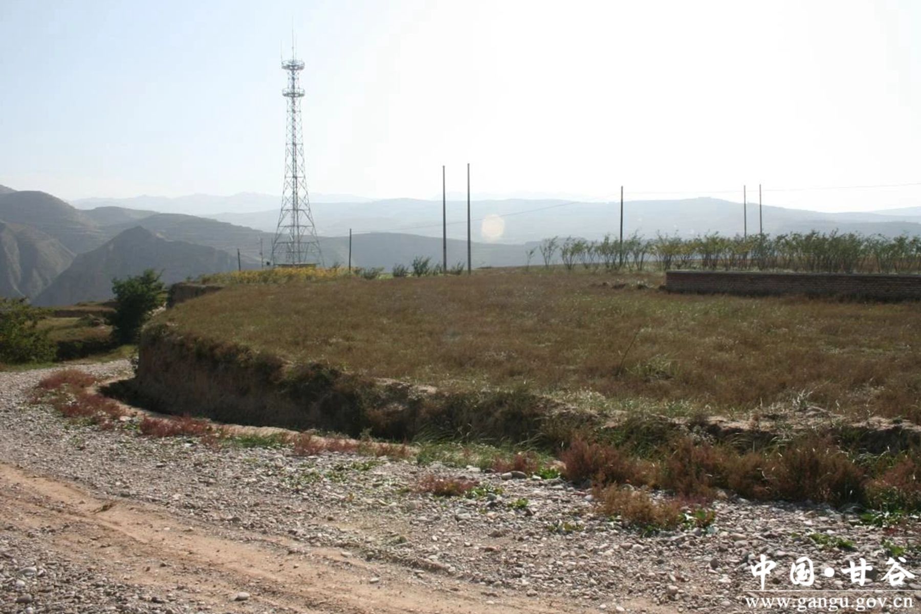 微信图片_20231124162440