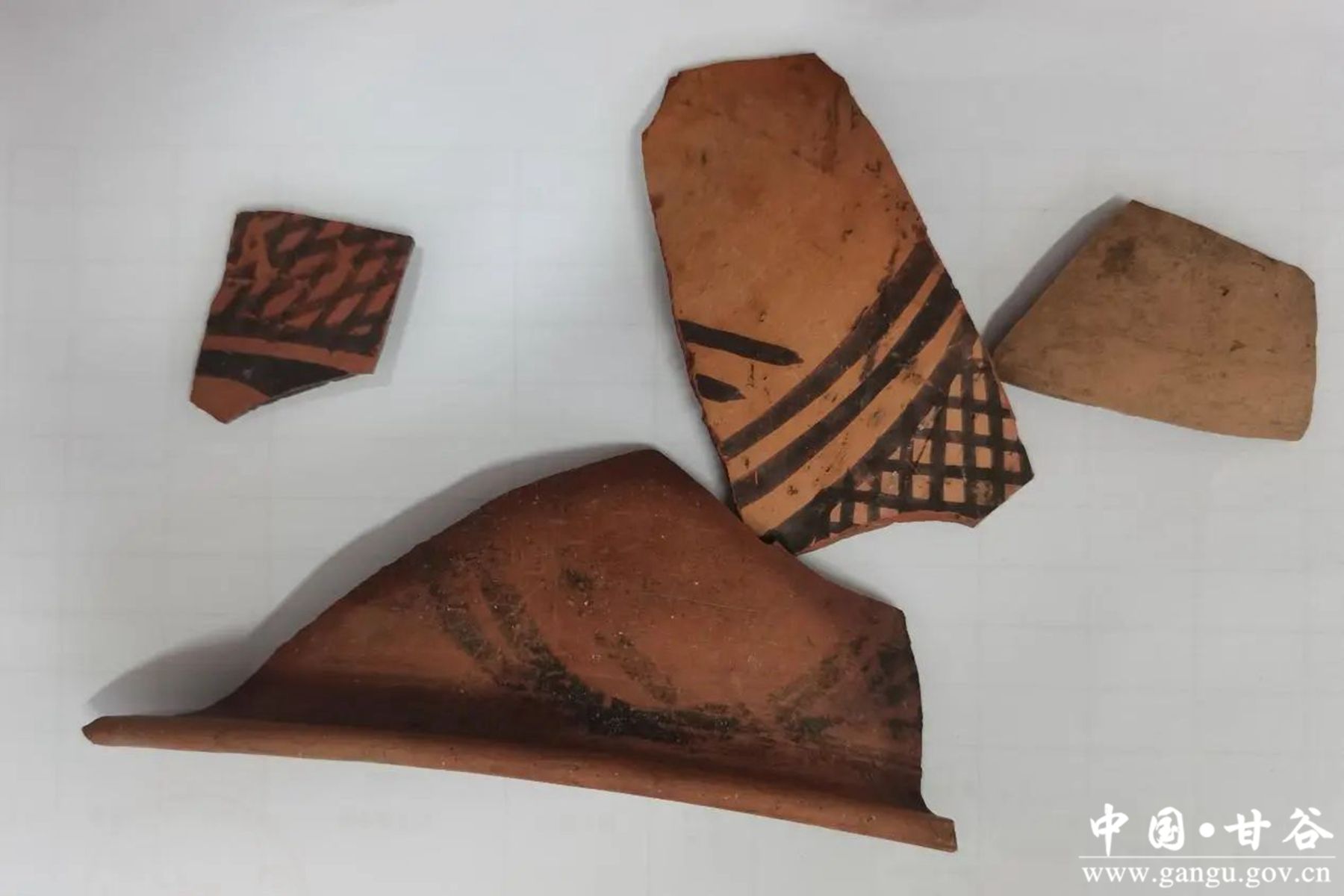 微信图片_20231124162448