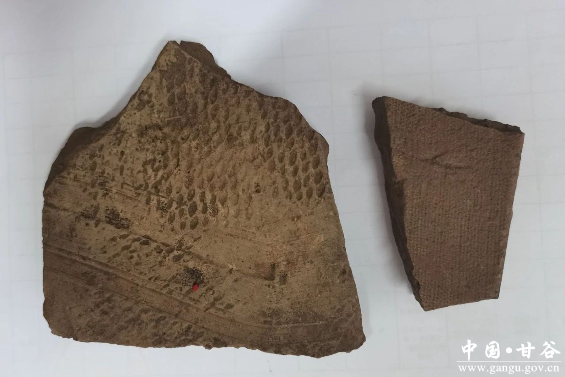 微信图片_20231124162450