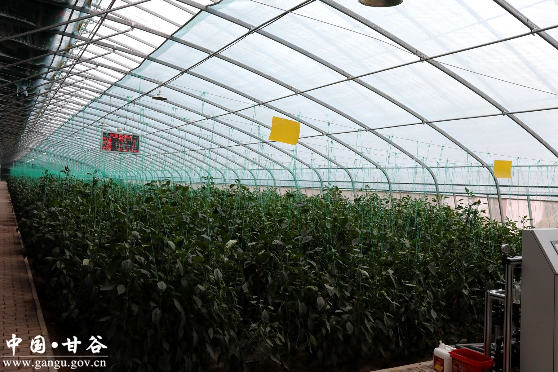 微信图片_20240614073301