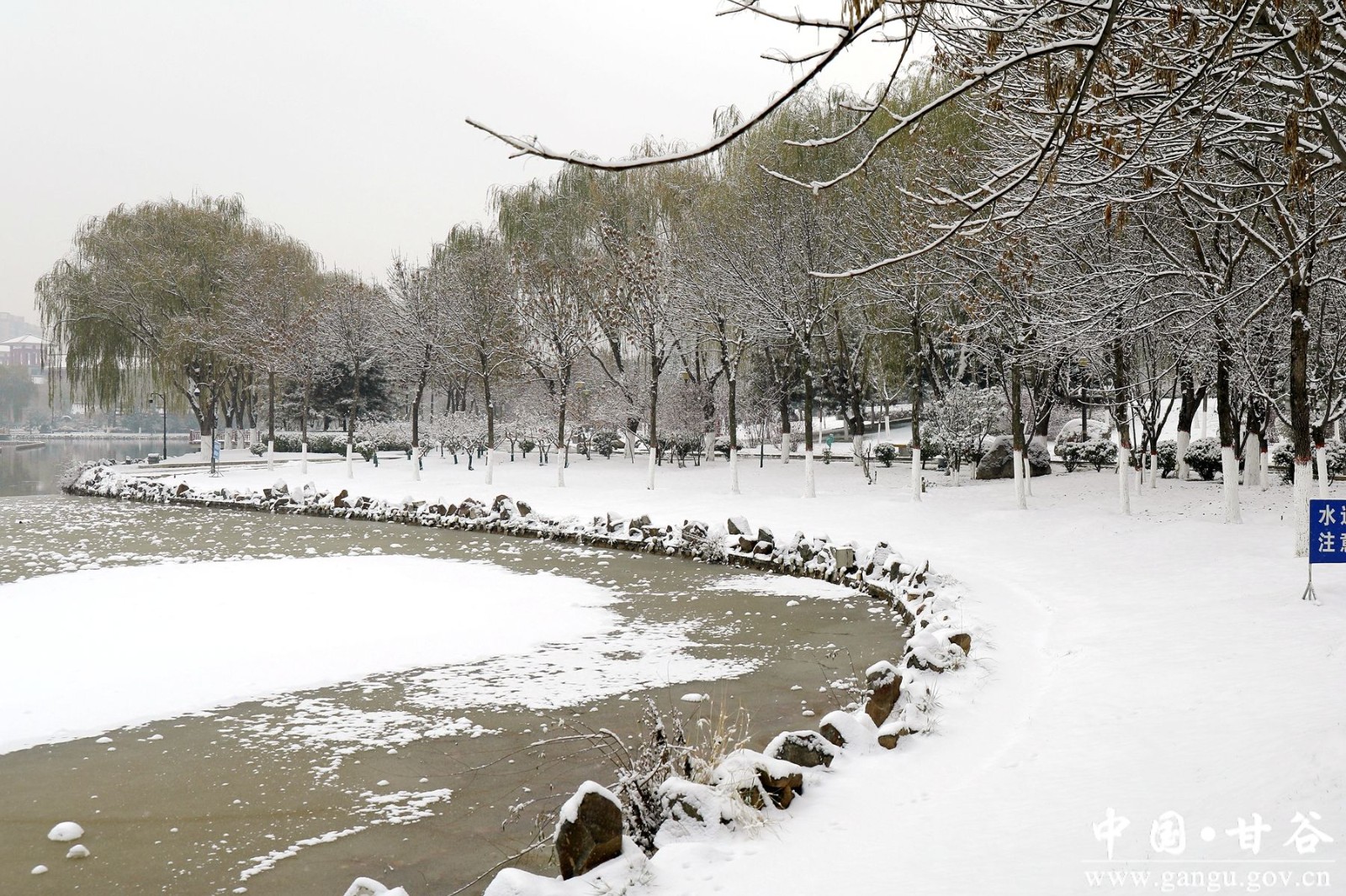 _MG_3143_副本 _MG_3143_副本