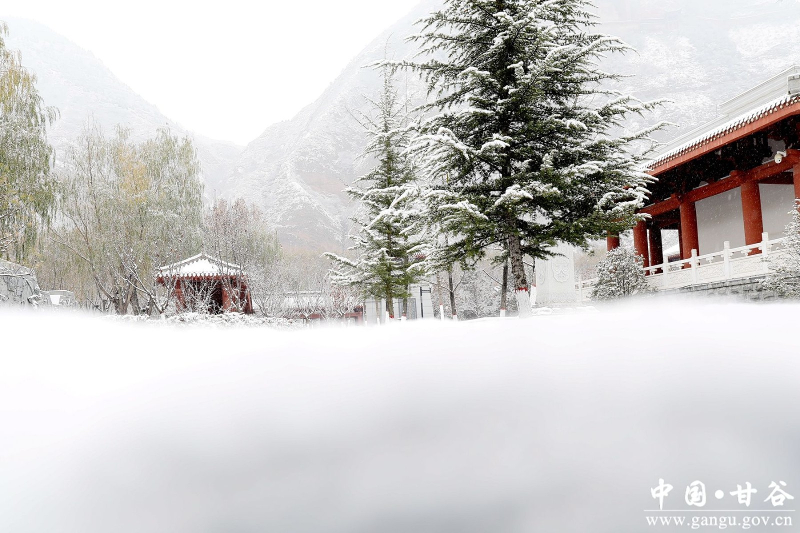 _MG_3013_副本 _MG_3013_副本