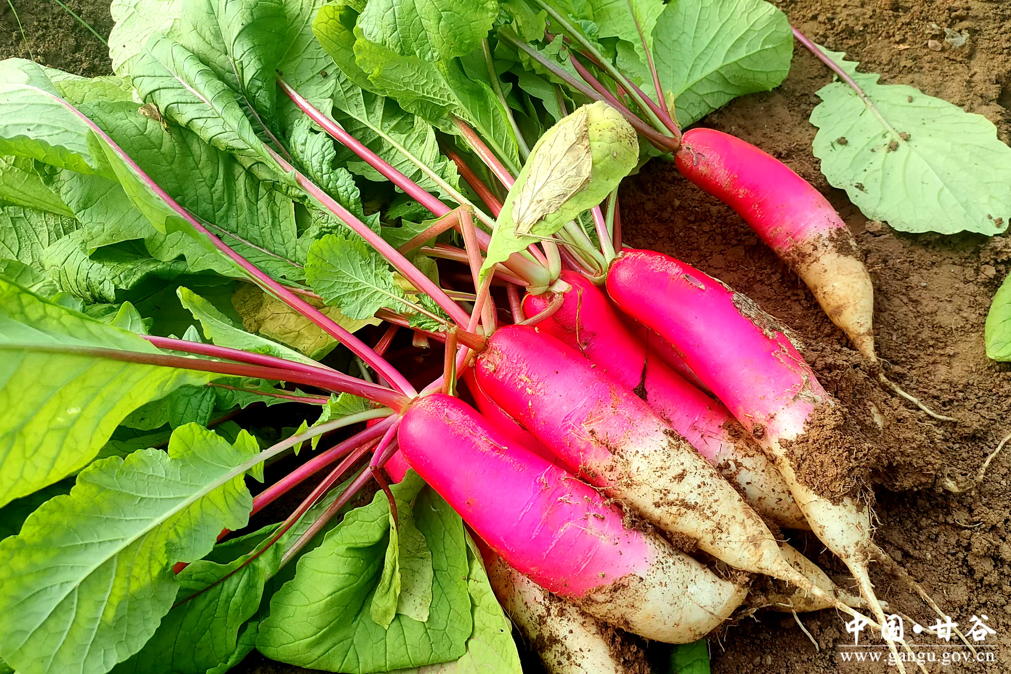 1736743256574048905.jpg 1736743256574048905.jpg