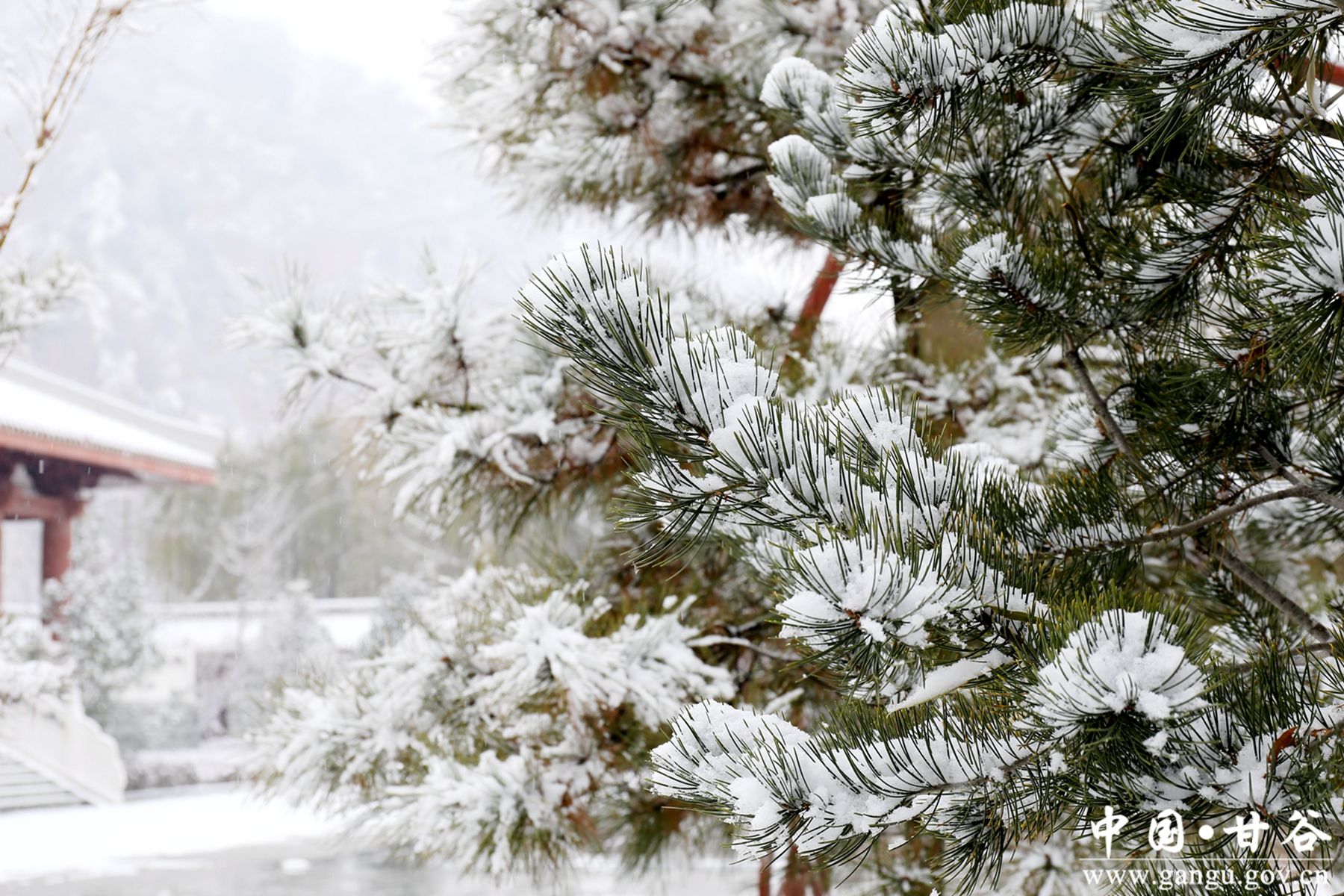 _MG_3002_副本 _MG_3002_副本