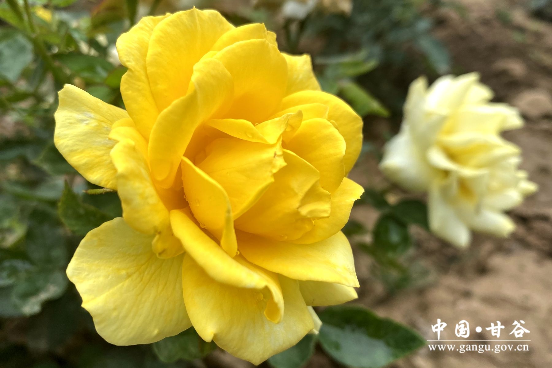 8eef937e671a97e6e59deb6e5e567a7 8eef937e671a97e6e59deb6e5e567a7