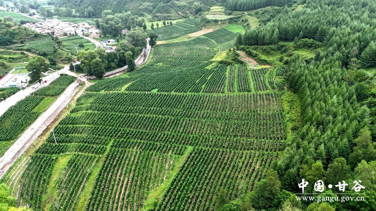 969f8e437dc1a68e23192a7fd1e1dc5 969f8e437dc1a68e23192a7fd1e1dc5