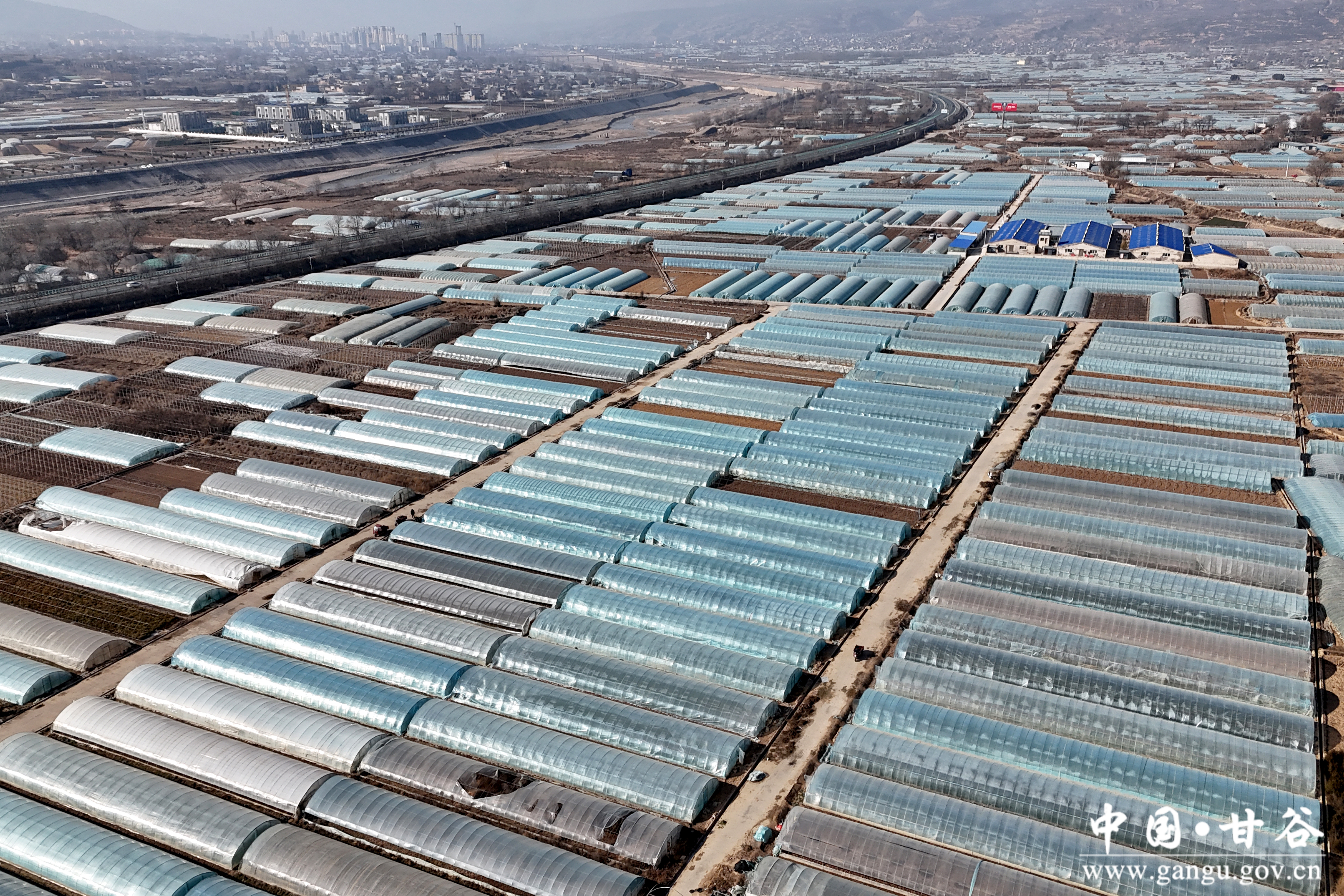 1736743666775004357.jpg 1736743666775004357.jpg