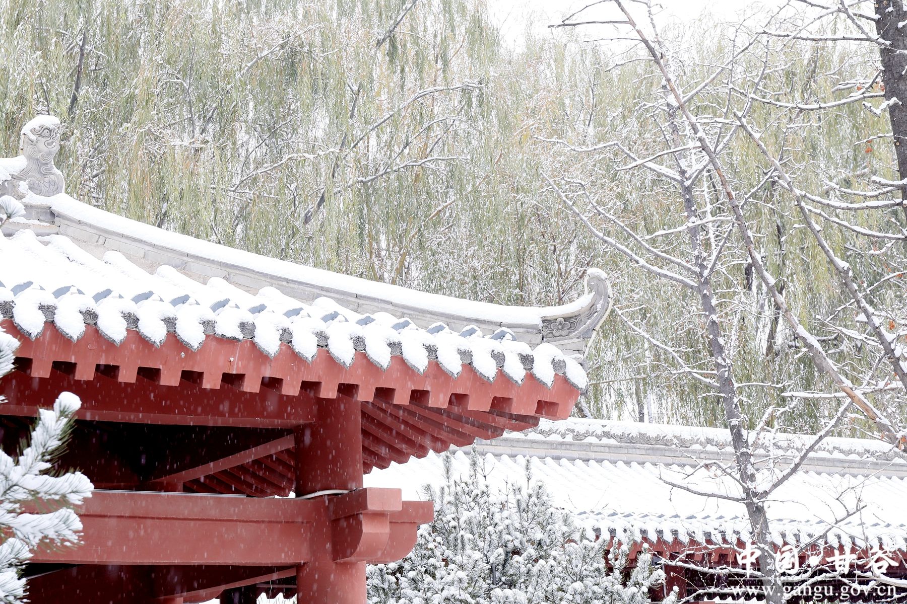 _MG_3036_副本 _MG_3036_副本