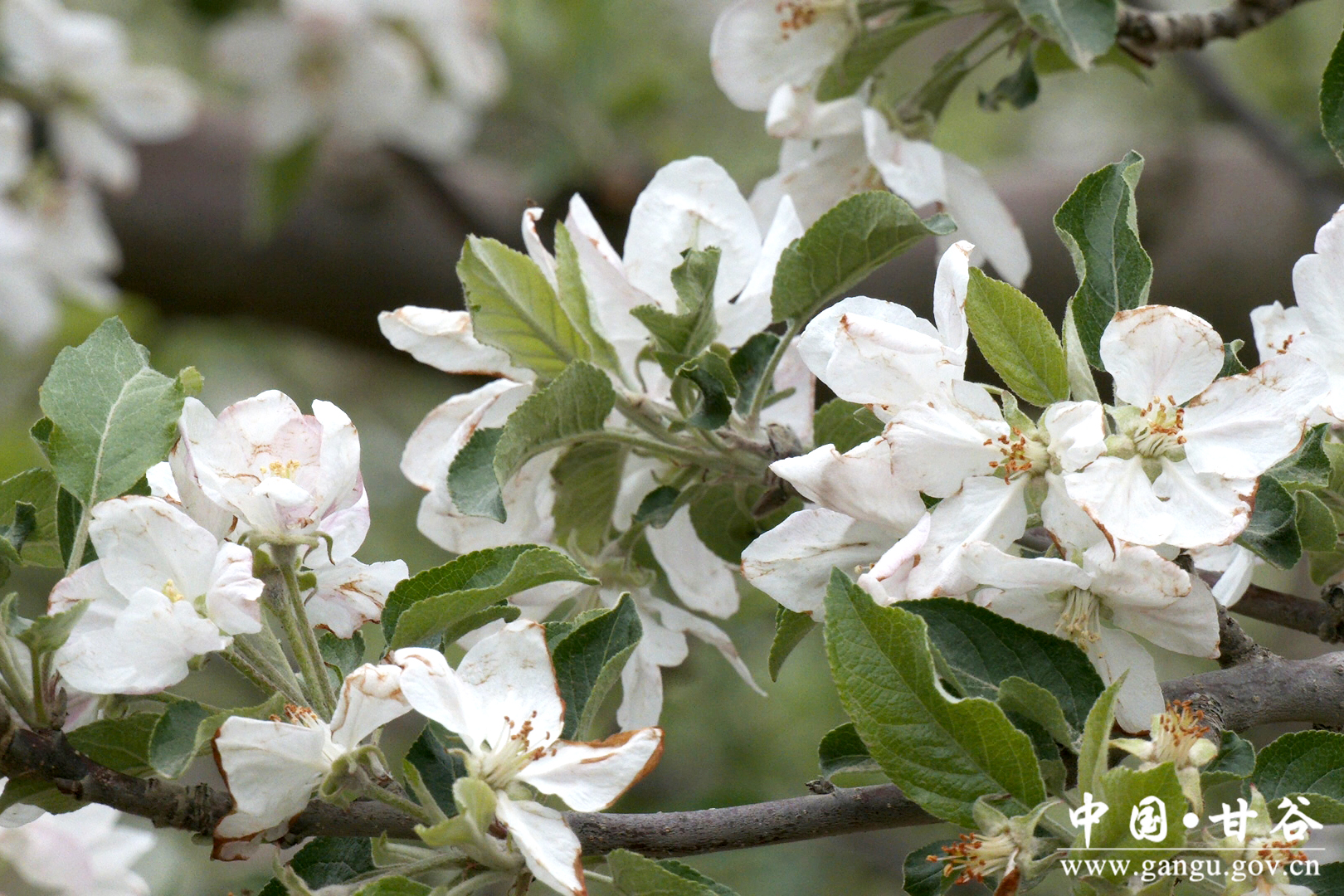 1745370820045065479.jpg 1745370820045065479.jpg