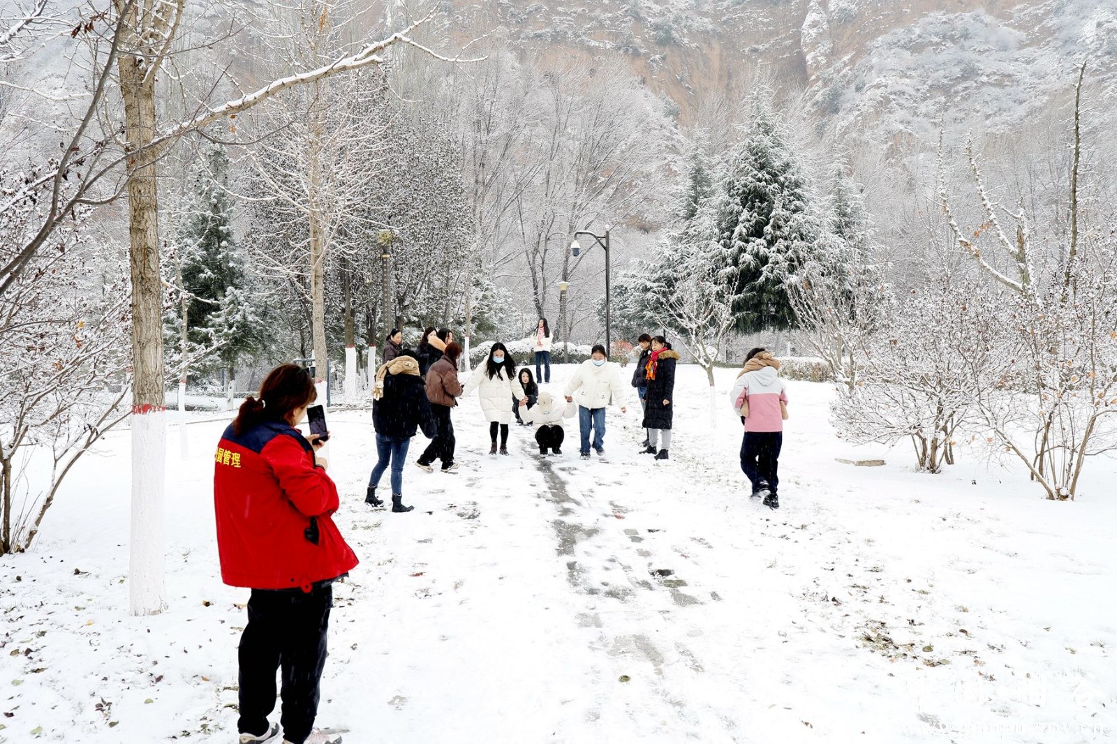 _MG_3100_副本 _MG_3100_副本