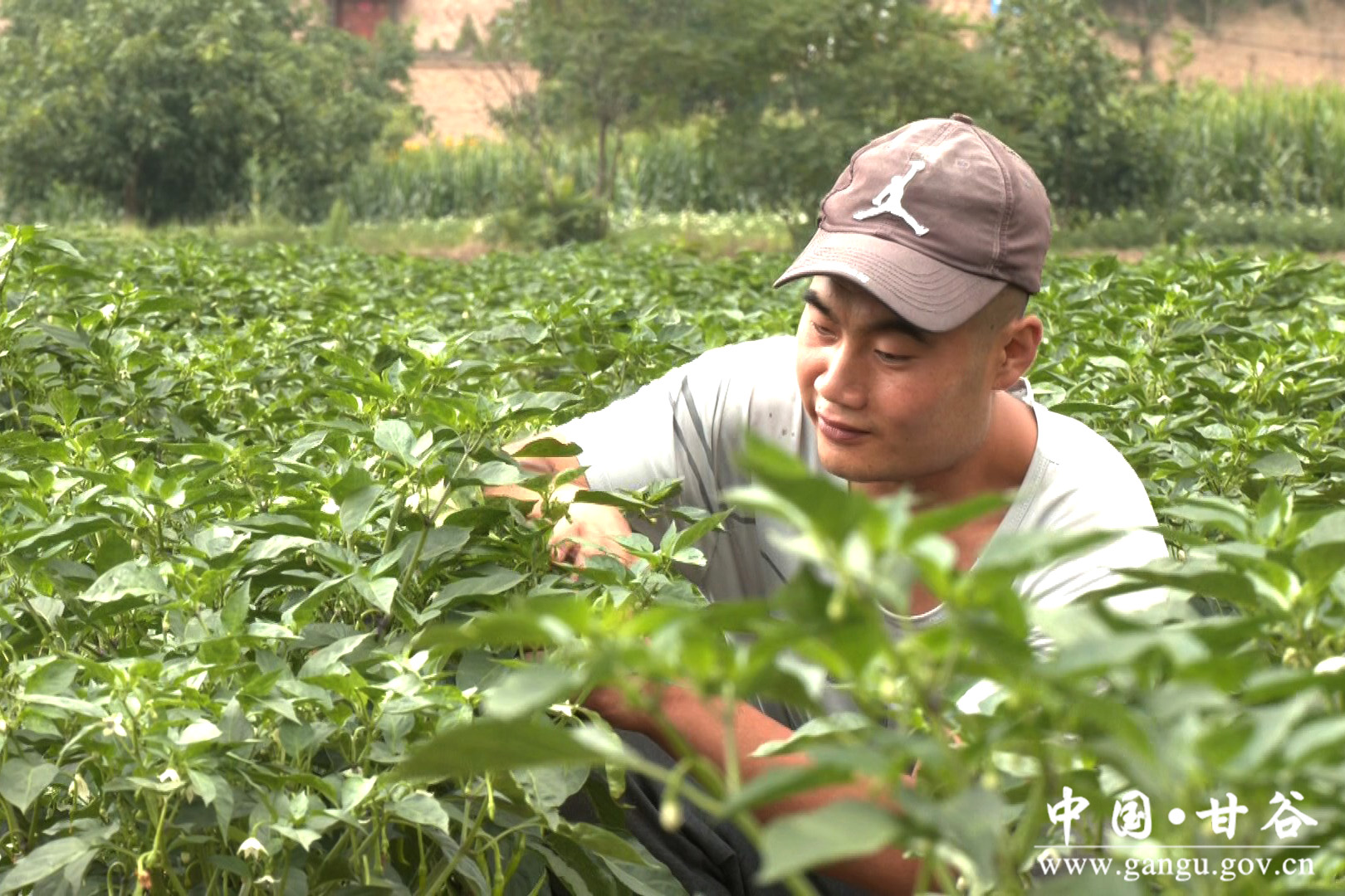 1721700255216003933.jpg 1721700255216003933.jpg