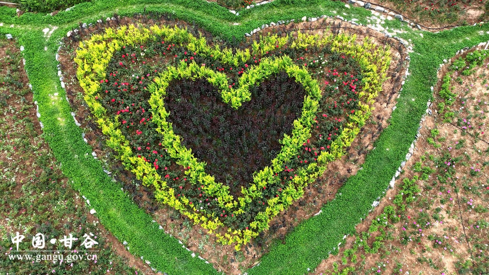 3506d25db03a1d7fed2d6477b9029a6 3506d25db03a1d7fed2d6477b9029a6