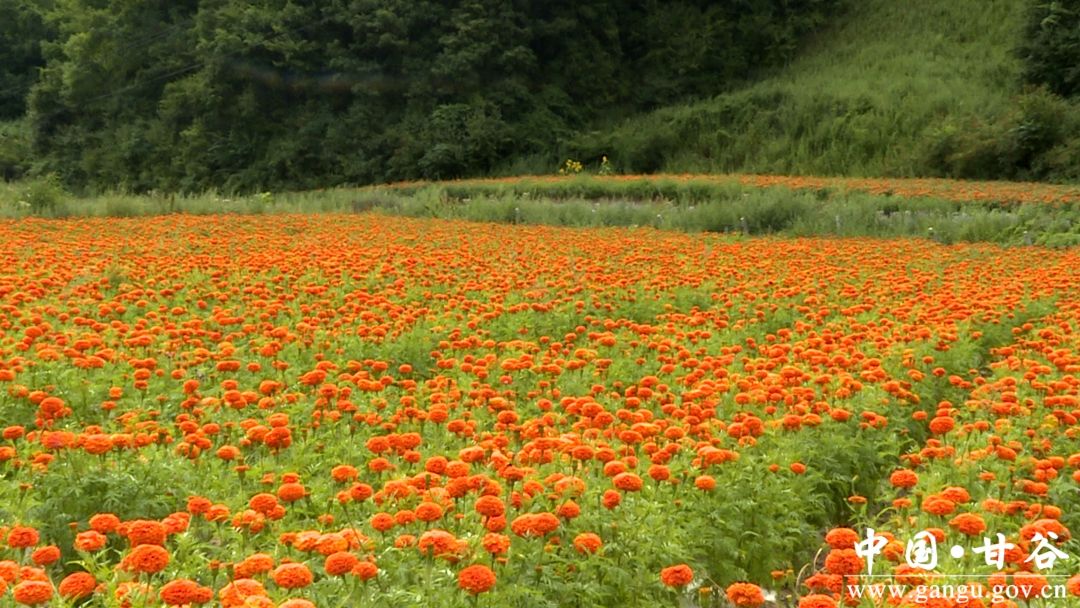 6ab4dadd854e9744c748b6db5a07371 6ab4dadd854e9744c748b6db5a07371