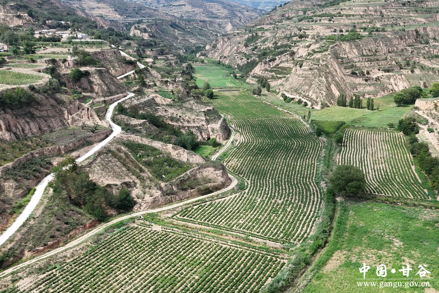 1754534180036026892.jpg 1754534180036026892.jpg