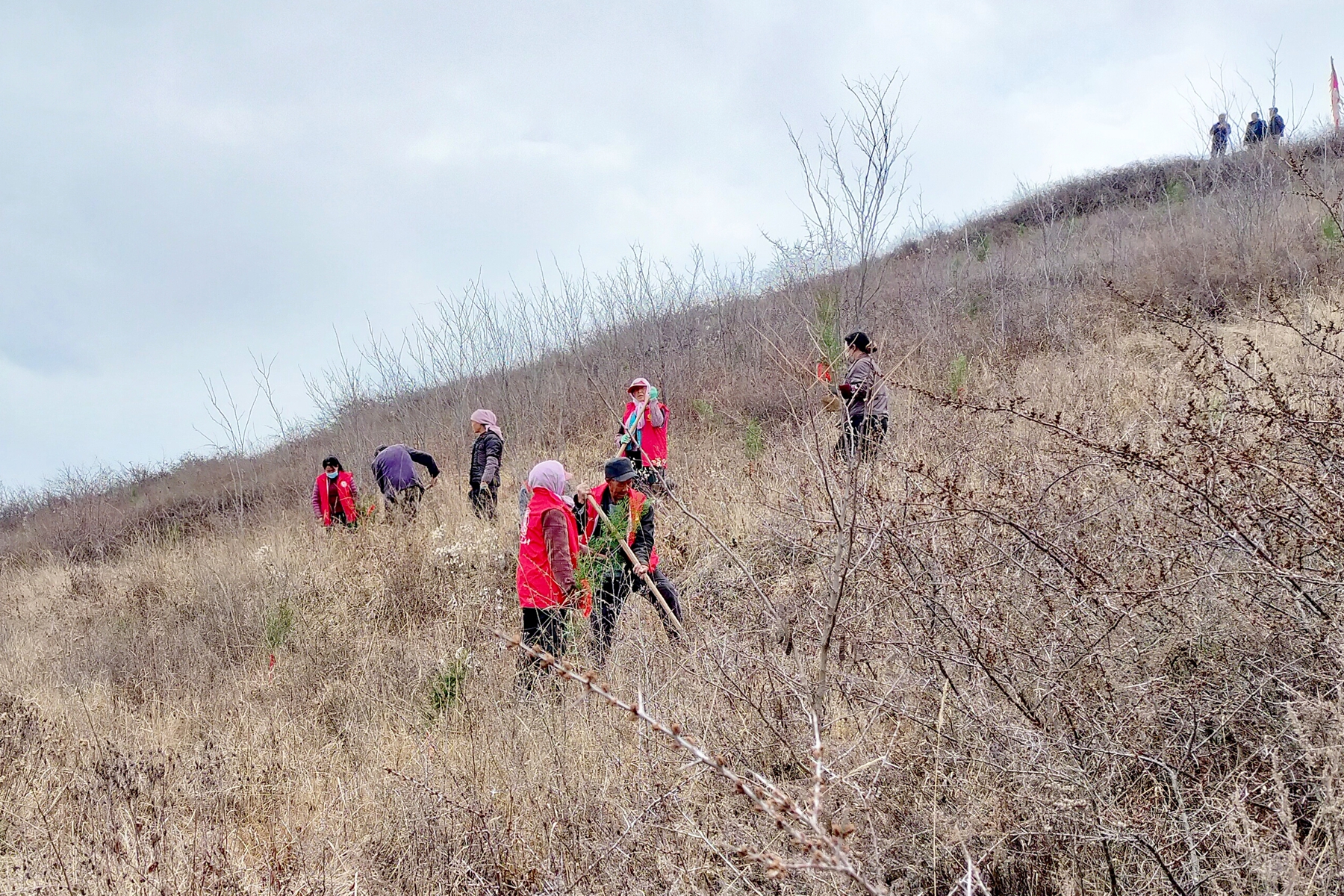 板块3图5 板块3图5