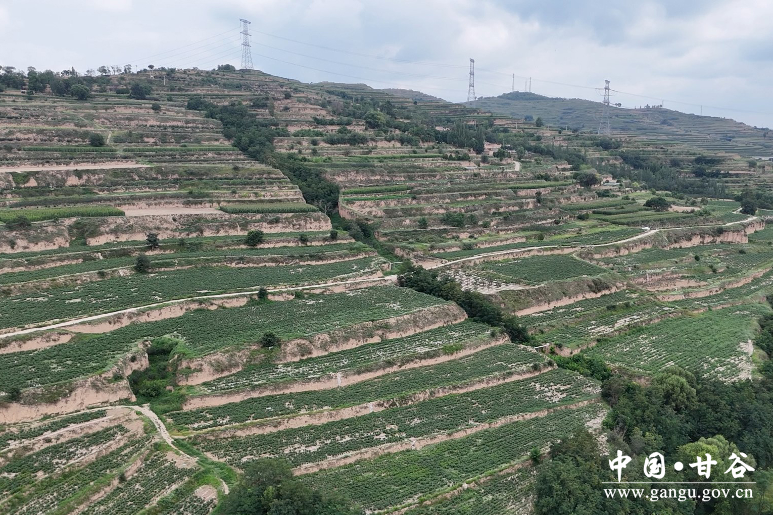 1754534832114042133.jpg 1754534832114042133.jpg