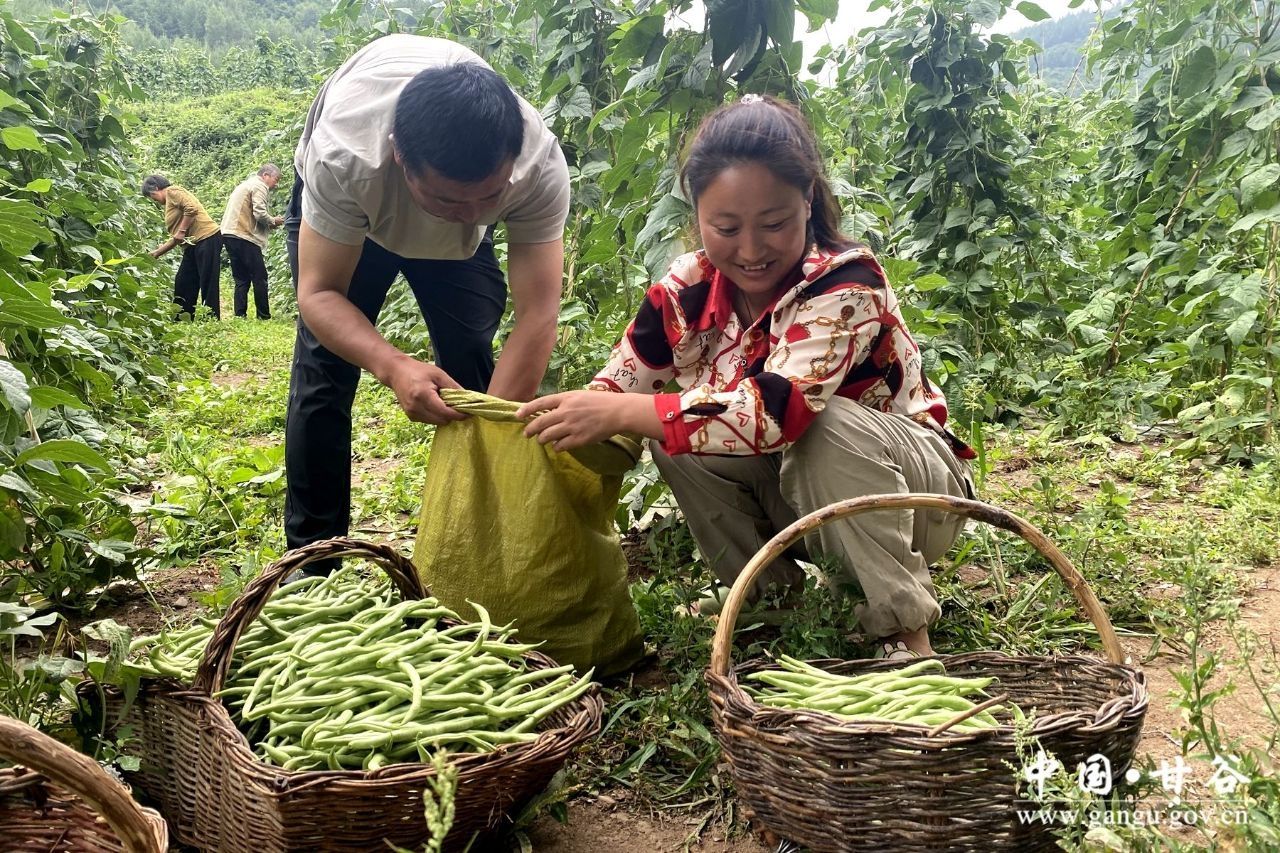 27cd12a848f6a53f6c25d7923c84907 27cd12a848f6a53f6c25d7923c84907