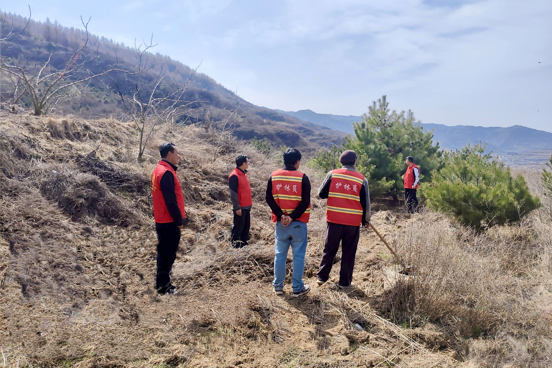 板块2图3 板块2图3