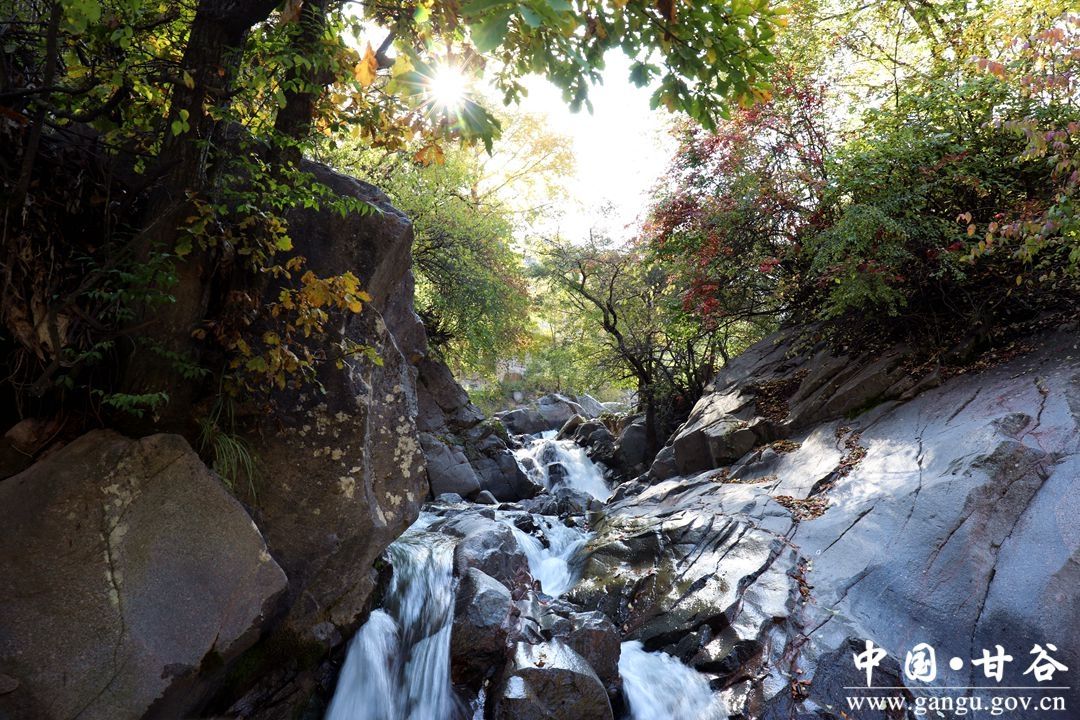 8ca2a8441d9965d977bbb336c4c10fe 8ca2a8441d9965d977bbb336c4c10fe