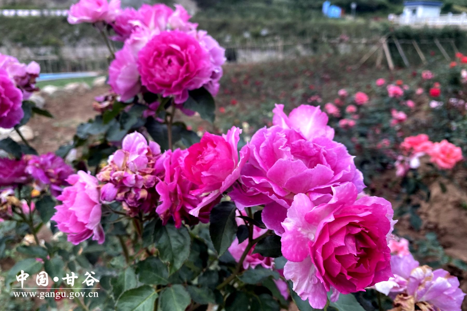 76ebe9f5ec309a6e3c163360f0e45f3 76ebe9f5ec309a6e3c163360f0e45f3