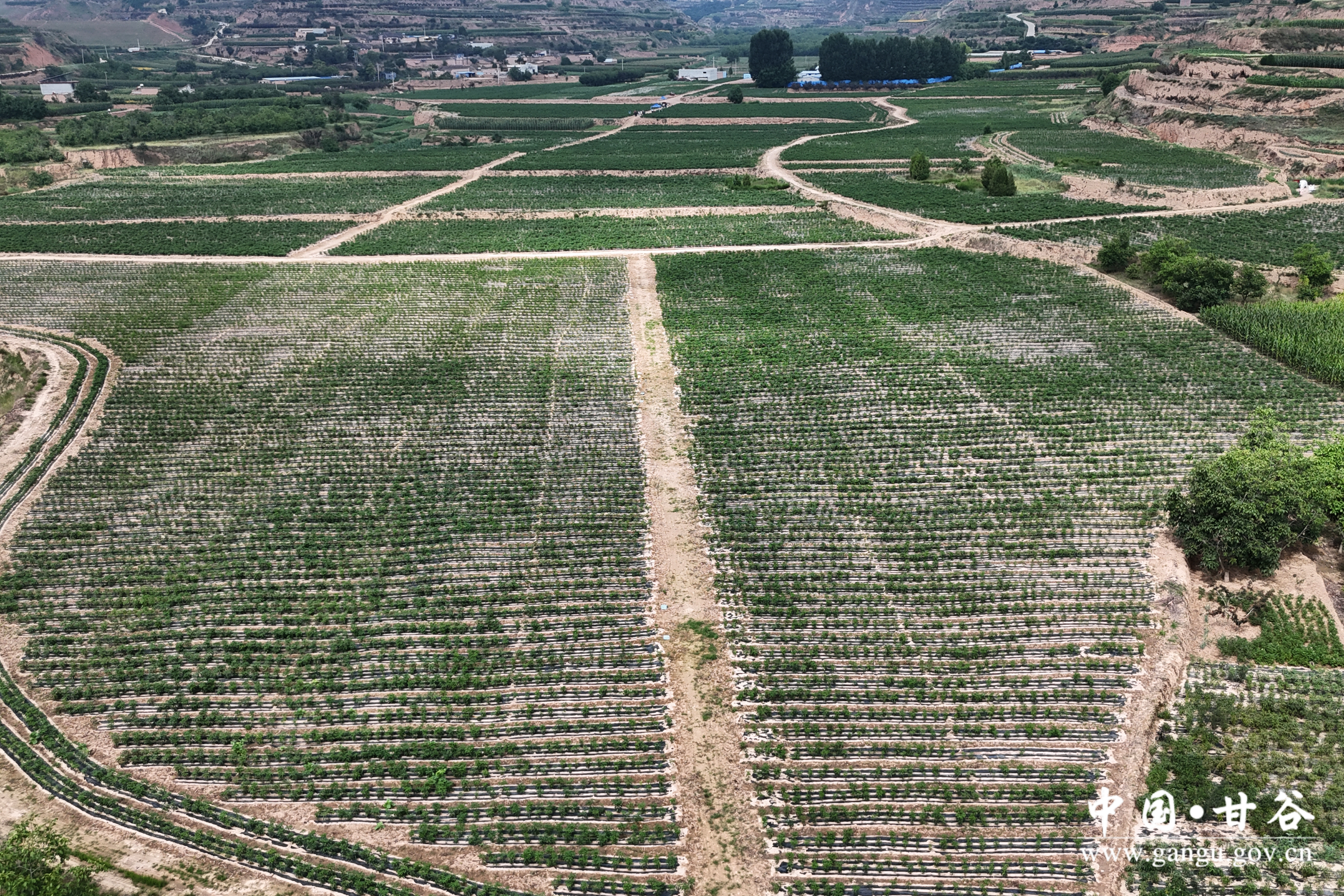 1721700413580062709.jpg 1721700413580062709.jpg