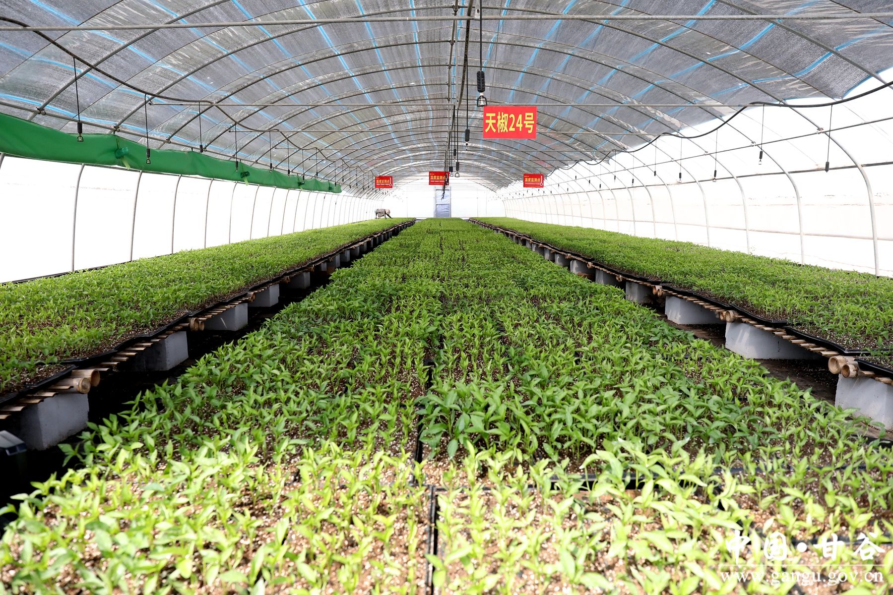 微信图片_20240426150005 微信图片_20240426150005