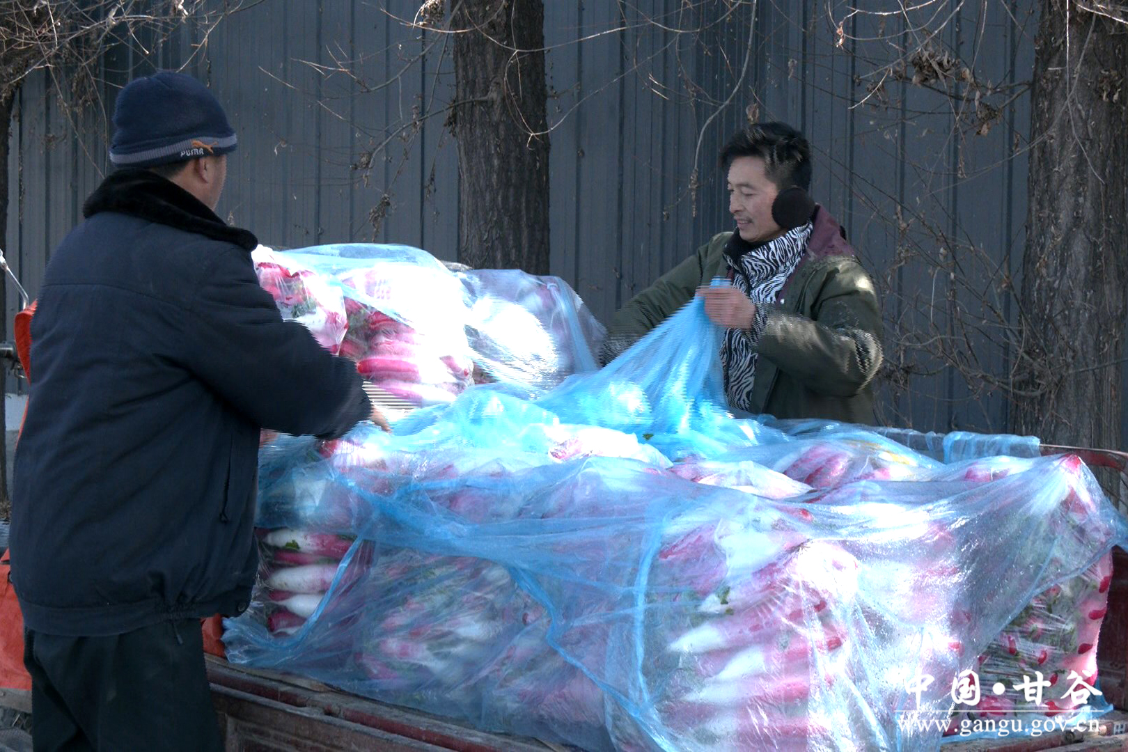 1736743565130099262.jpg 1736743565130099262.jpg