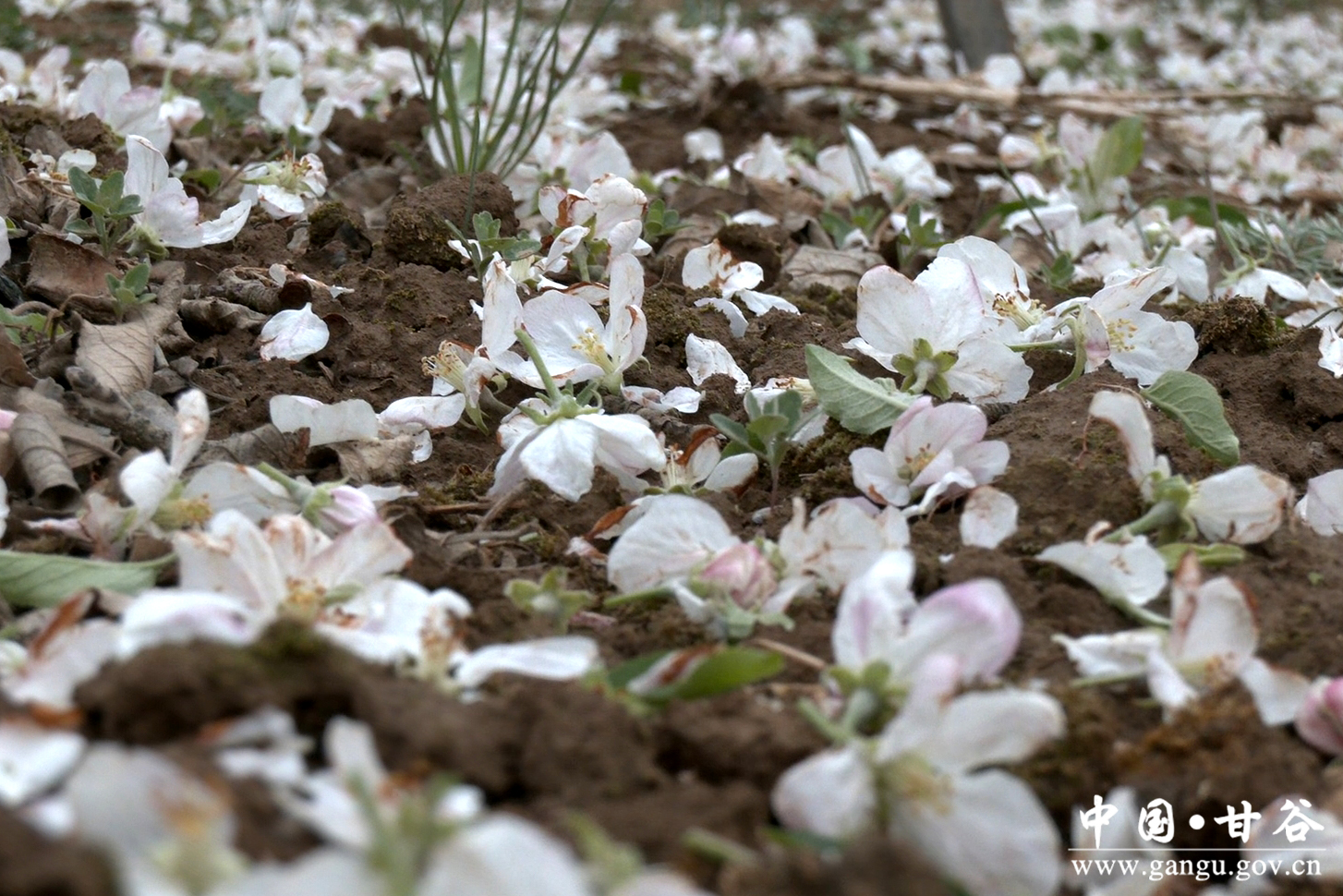 1745370858209083421.jpg 1745370858209083421.jpg