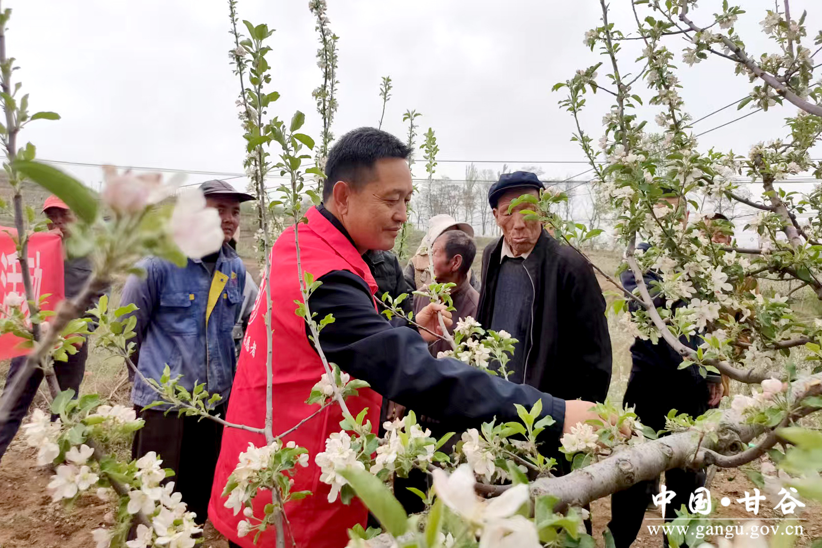 1745371011934086506.jpg 1745371011934086506.jpg