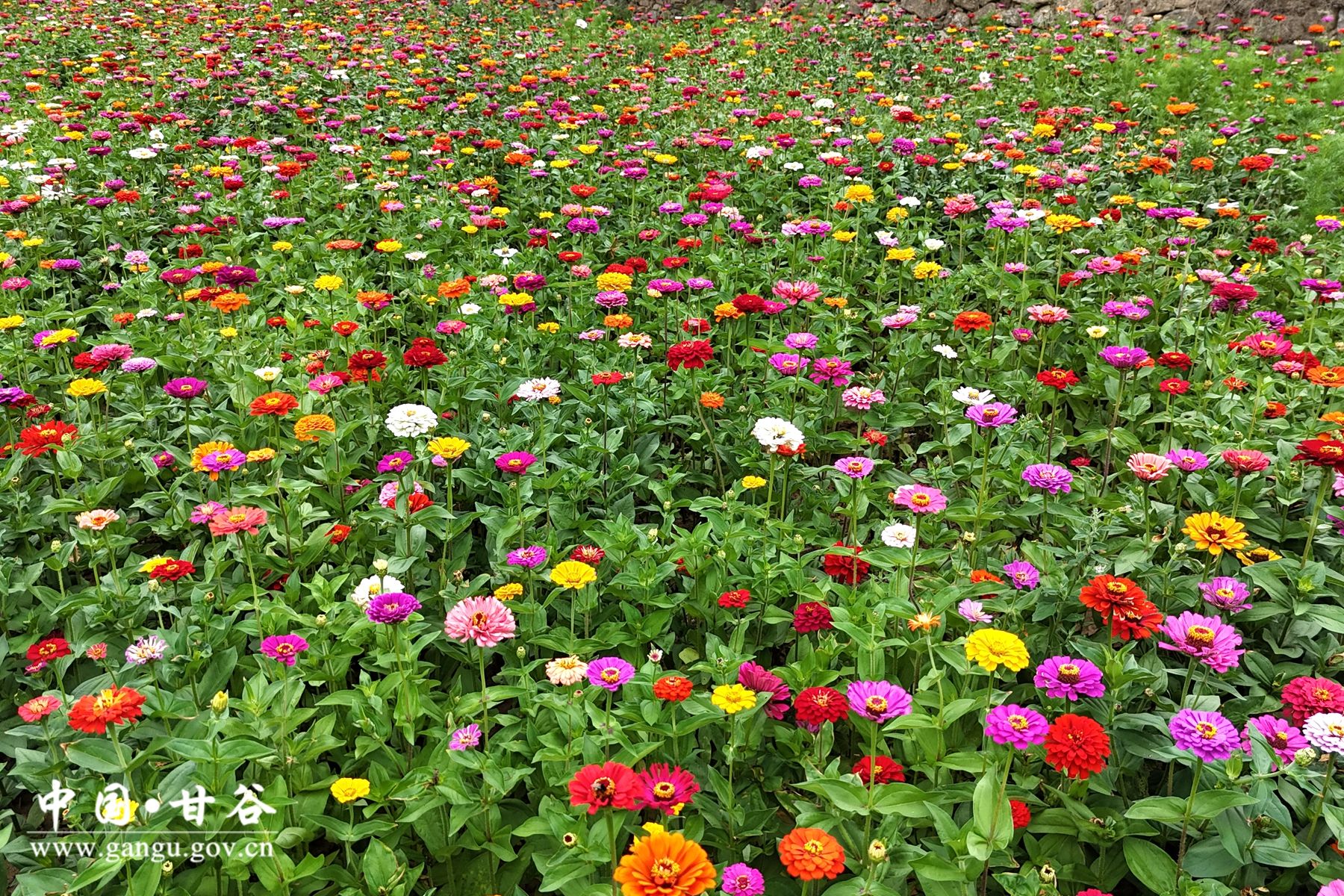 0235d4a5d13638500afa99a0623329a 0235d4a5d13638500afa99a0623329a