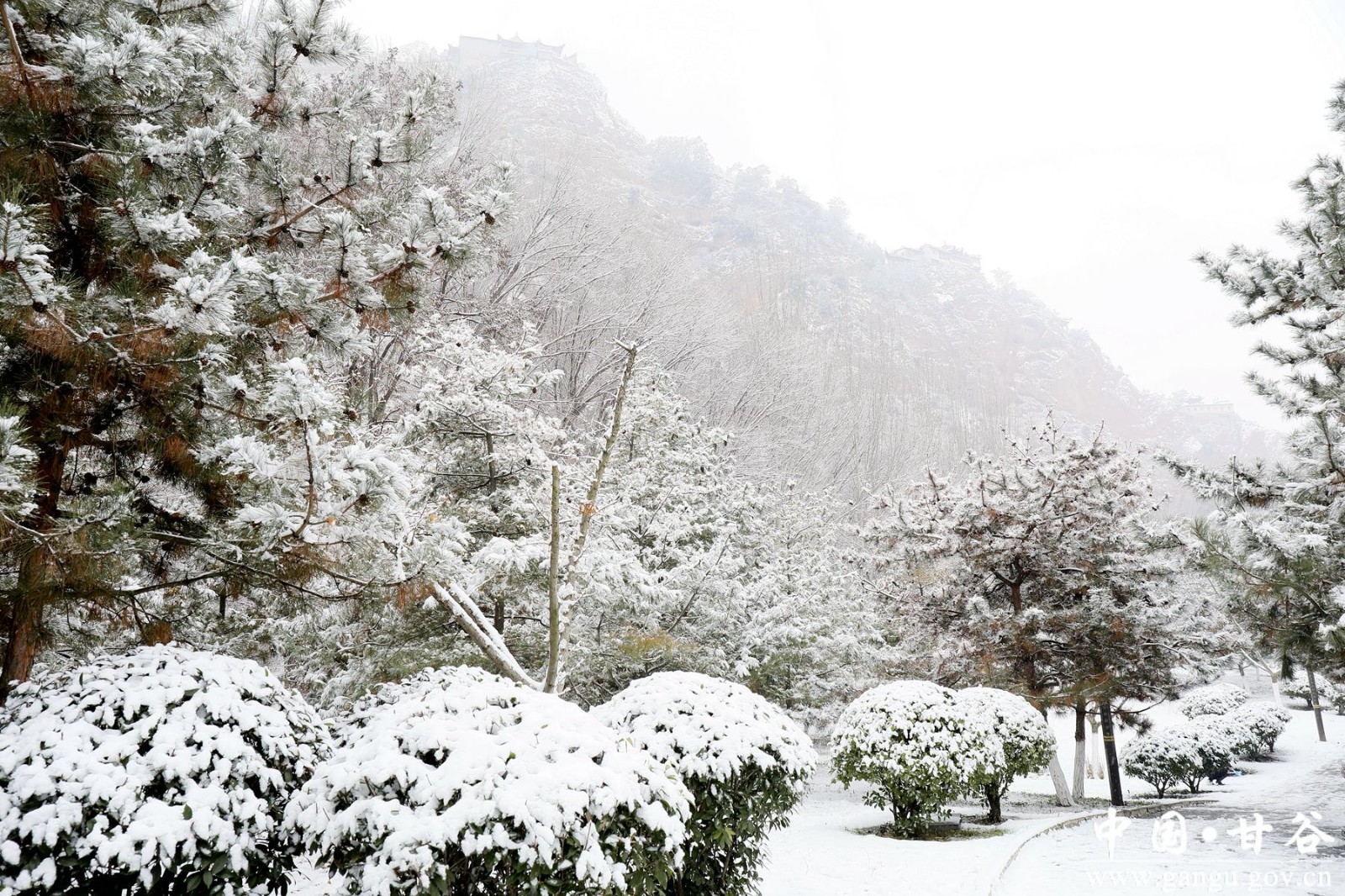 _MG_3086_副本 _MG_3086_副本