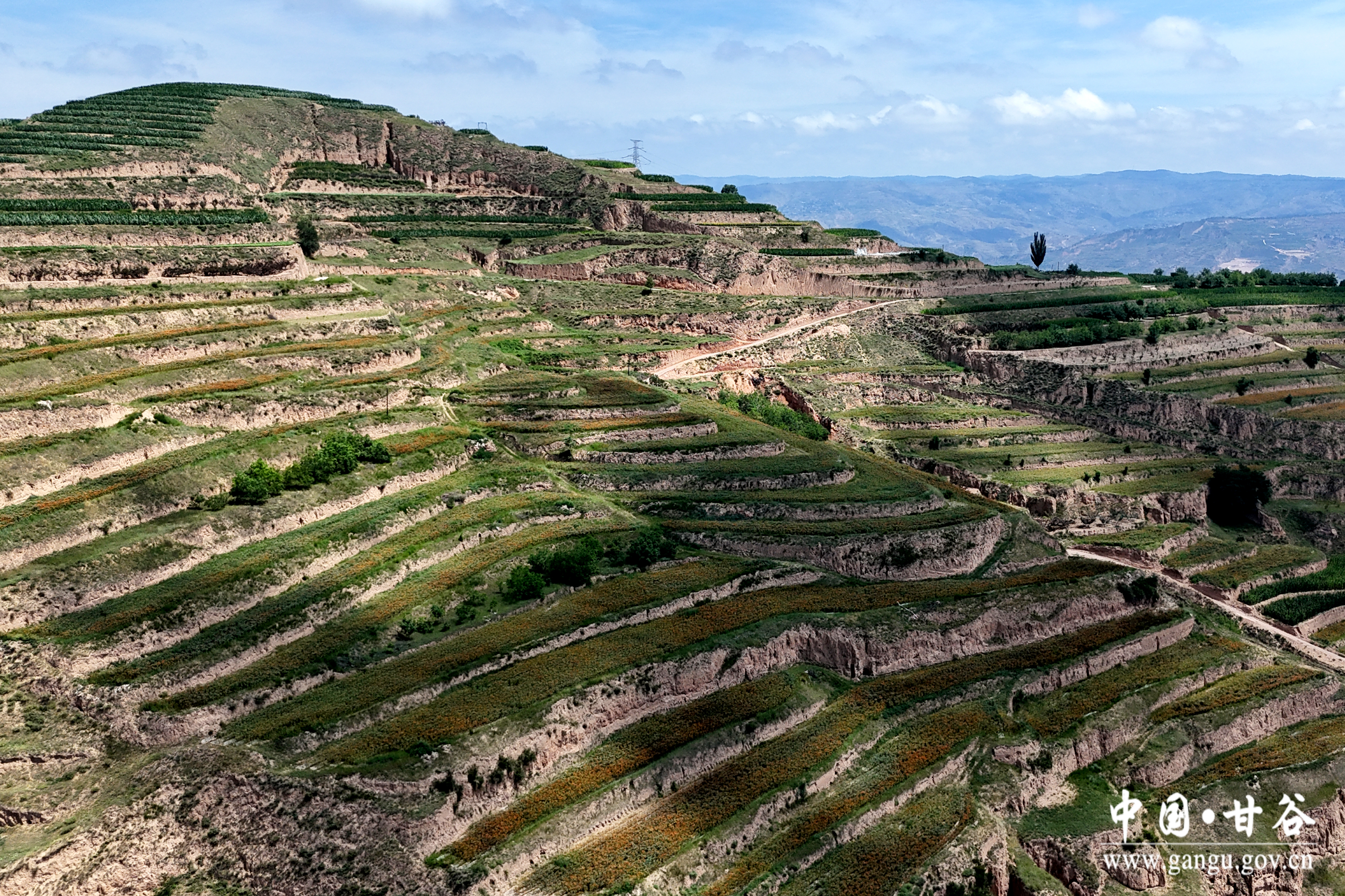 1721699350341077265.jpg 1721699350341077265.jpg