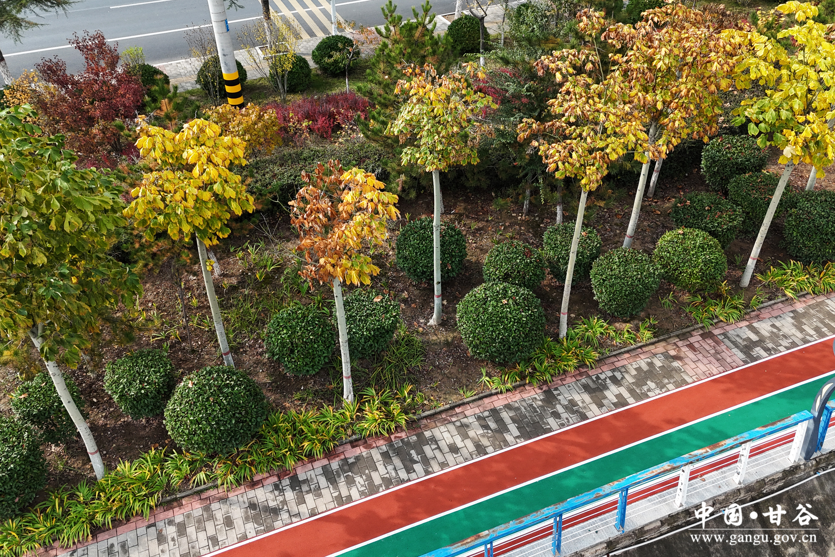 1730449986421078510.jpg 1730449986421078510.jpg