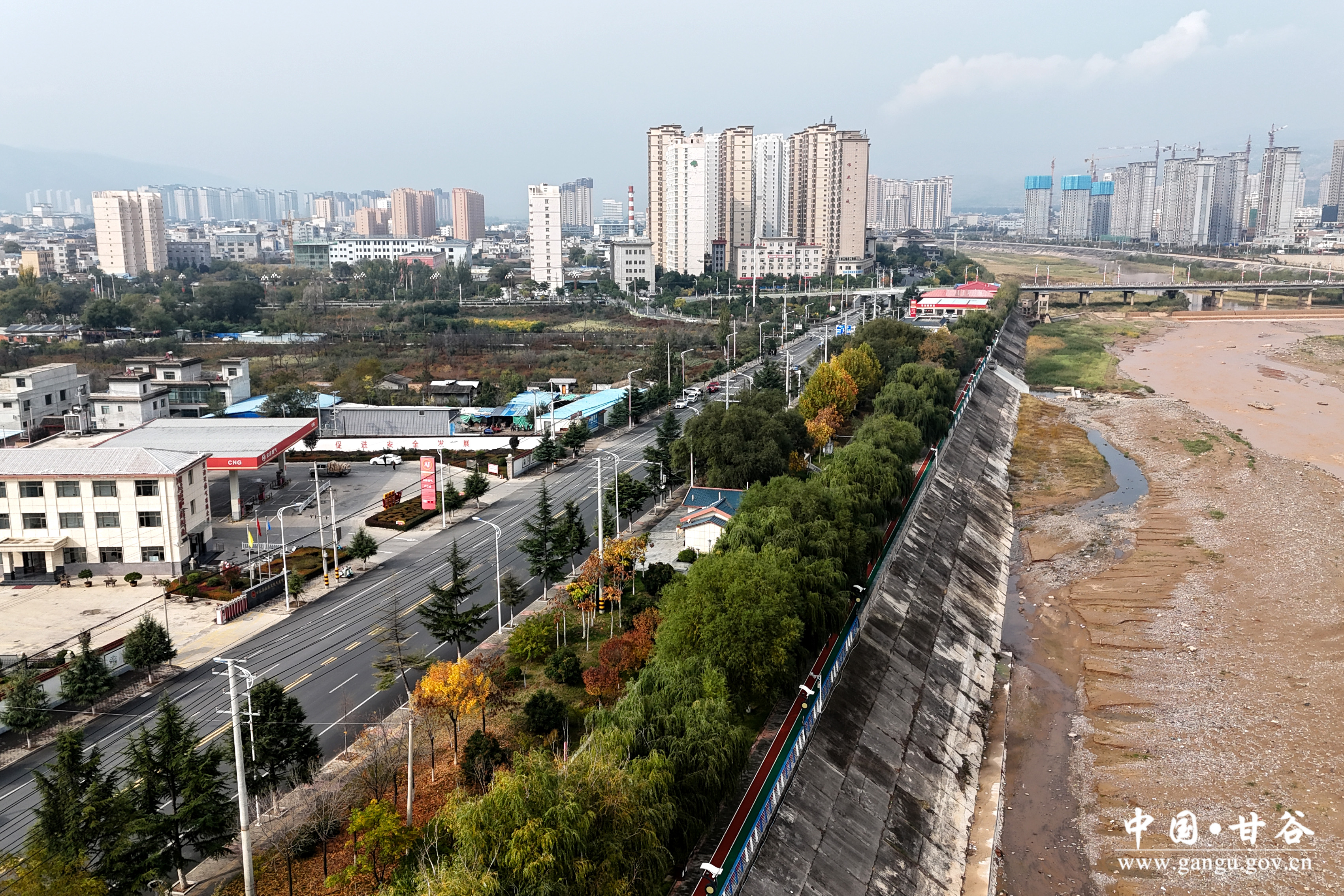 1730450111118025433.jpg 1730450111118025433.jpg