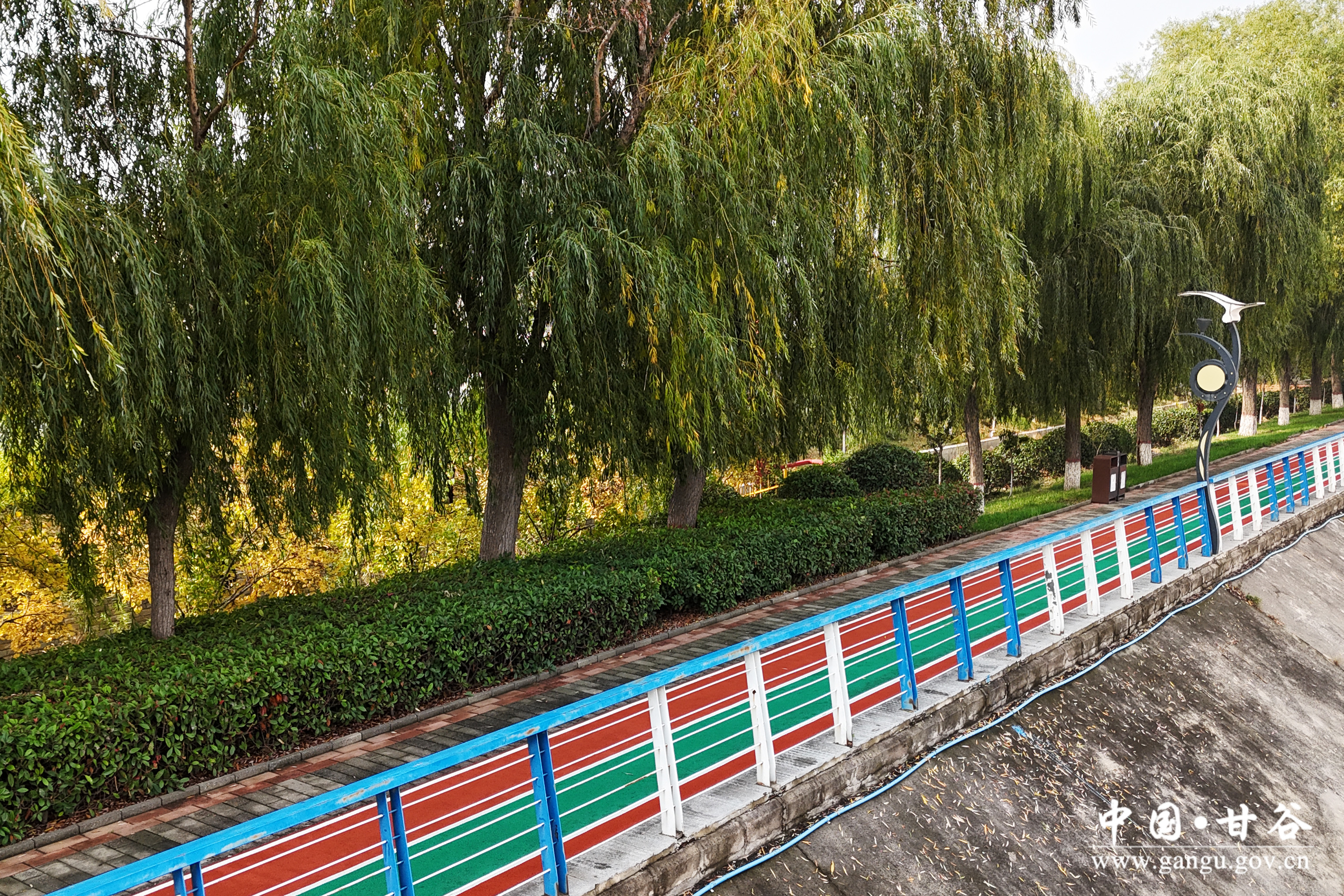 1730450066849085942.jpg 1730450066849085942.jpg