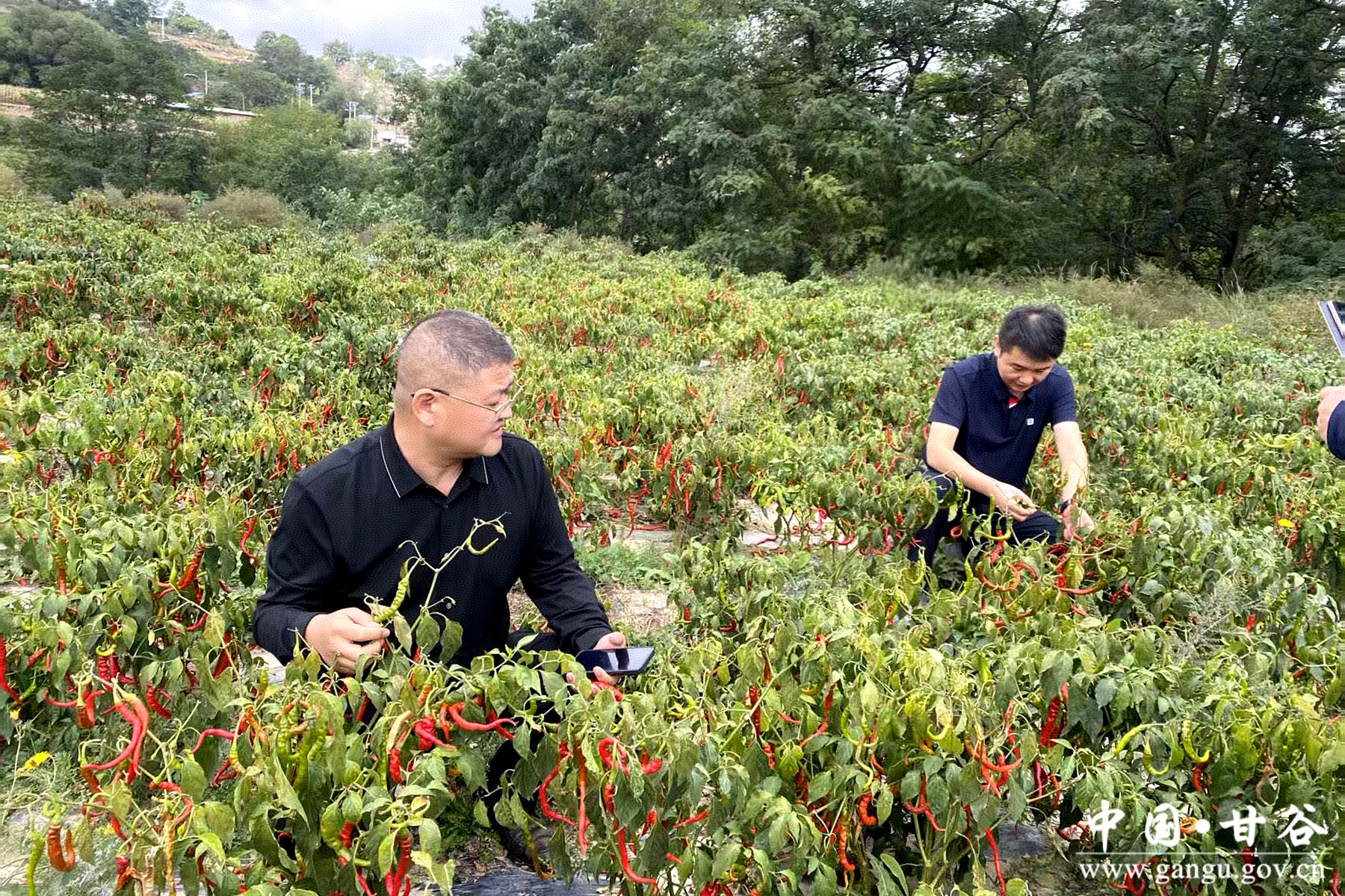 e23075cb34e217470e3a385f5695738_副本_副本 e23075cb34e217470e3a385f5695738_副本_副本