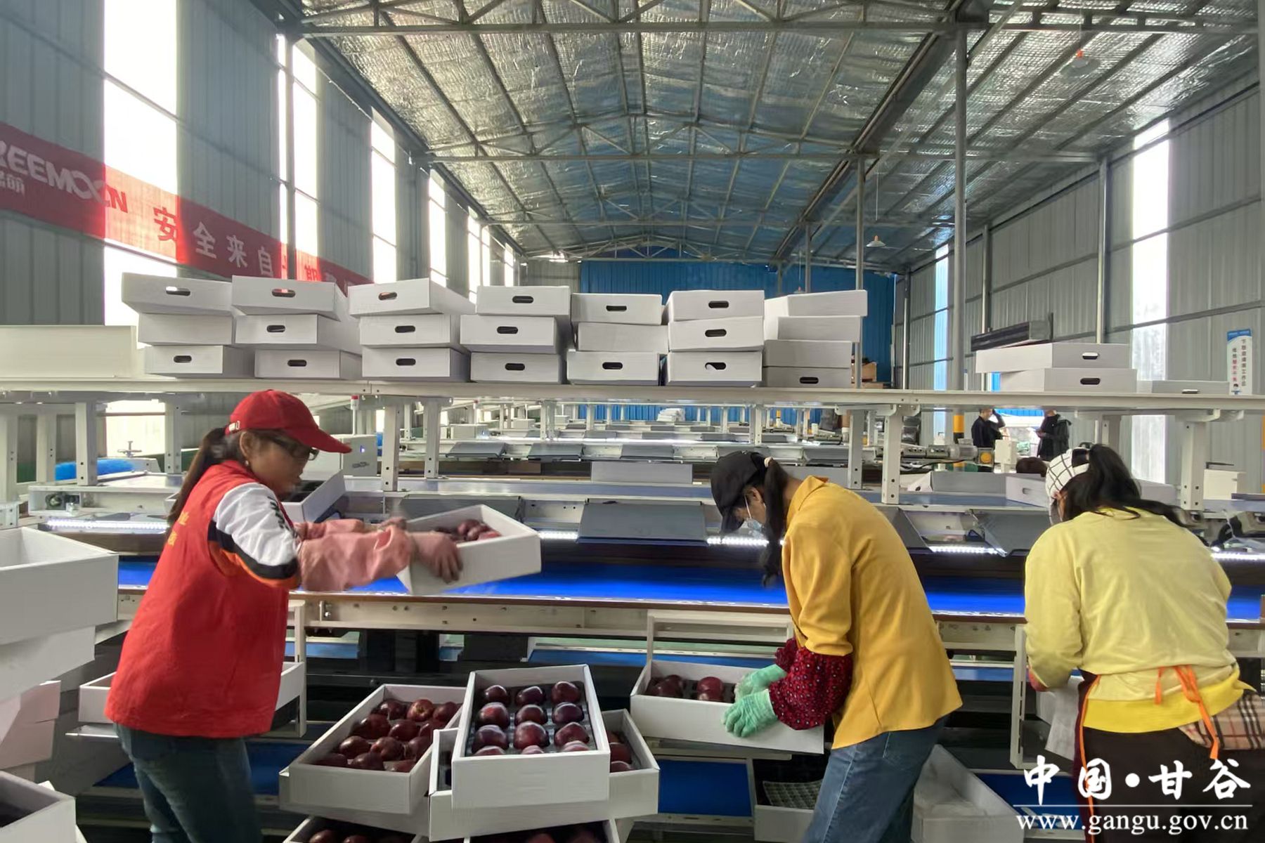 887f8739ca41ca6b24388b88d2886e5_副本_副本 887f8739ca41ca6b24388b88d2886e5_副本_副本