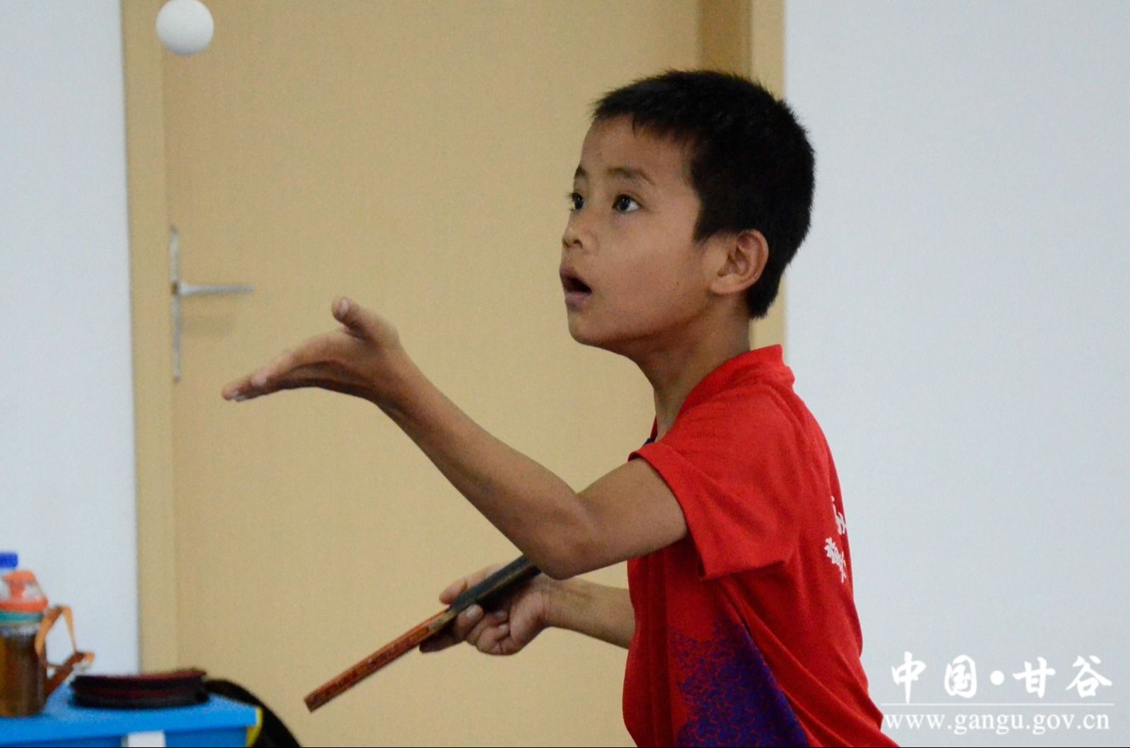 _DSC9532 拷贝 _DSC9532 拷贝