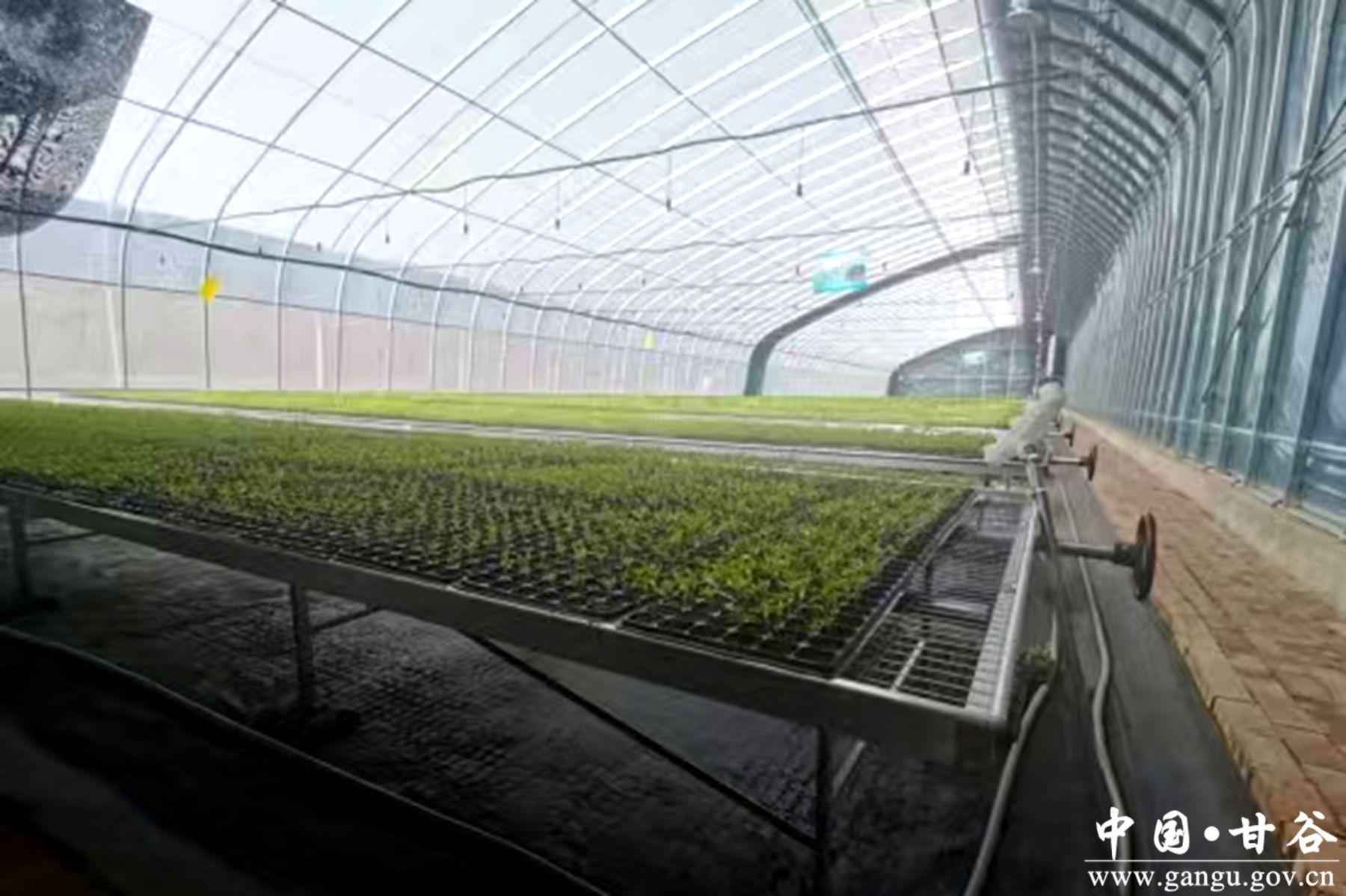 微信图片_20250617145349 微信图片_20250617145349