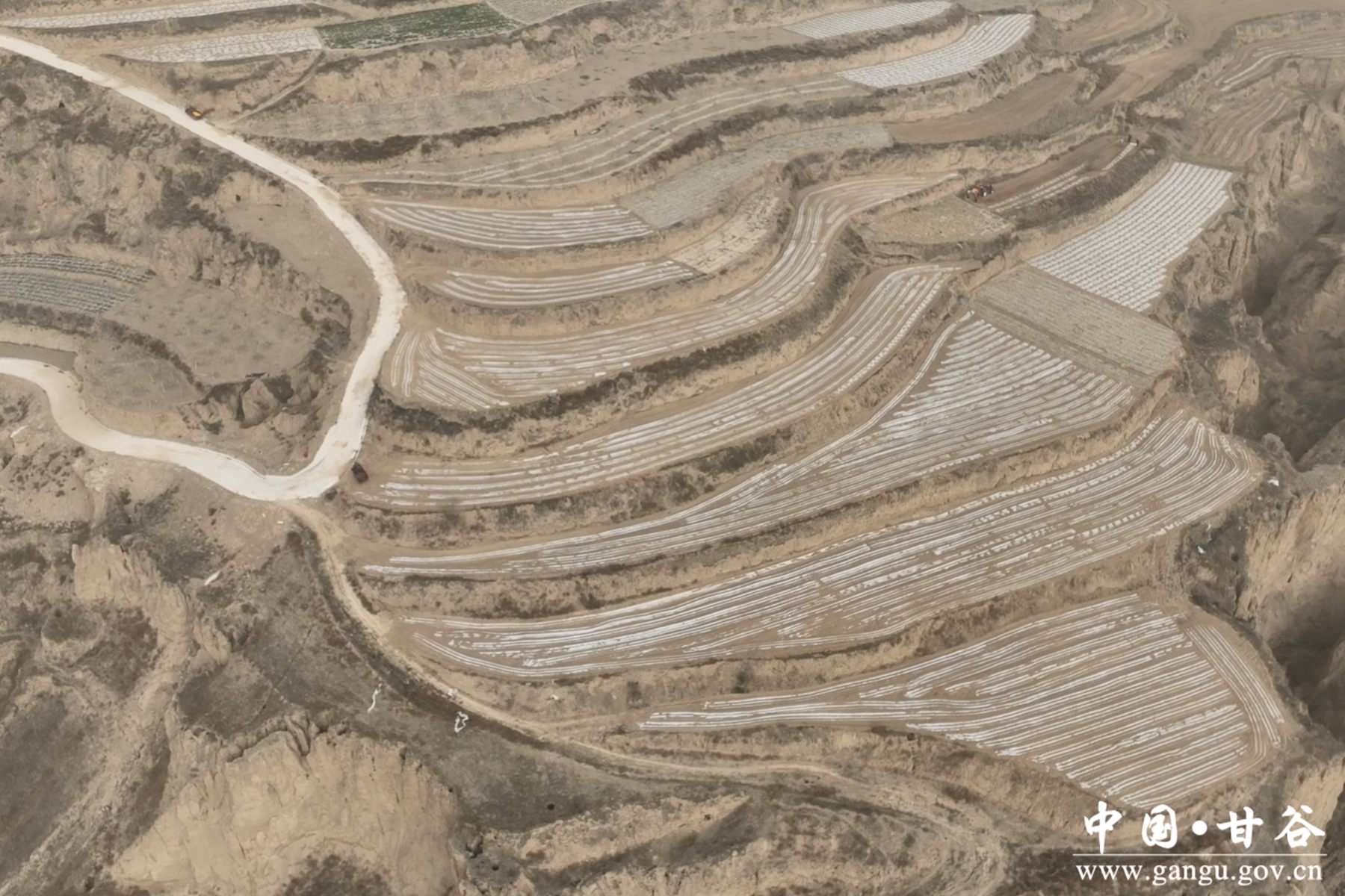 微信图片_20250311115631 微信图片_20250311115631