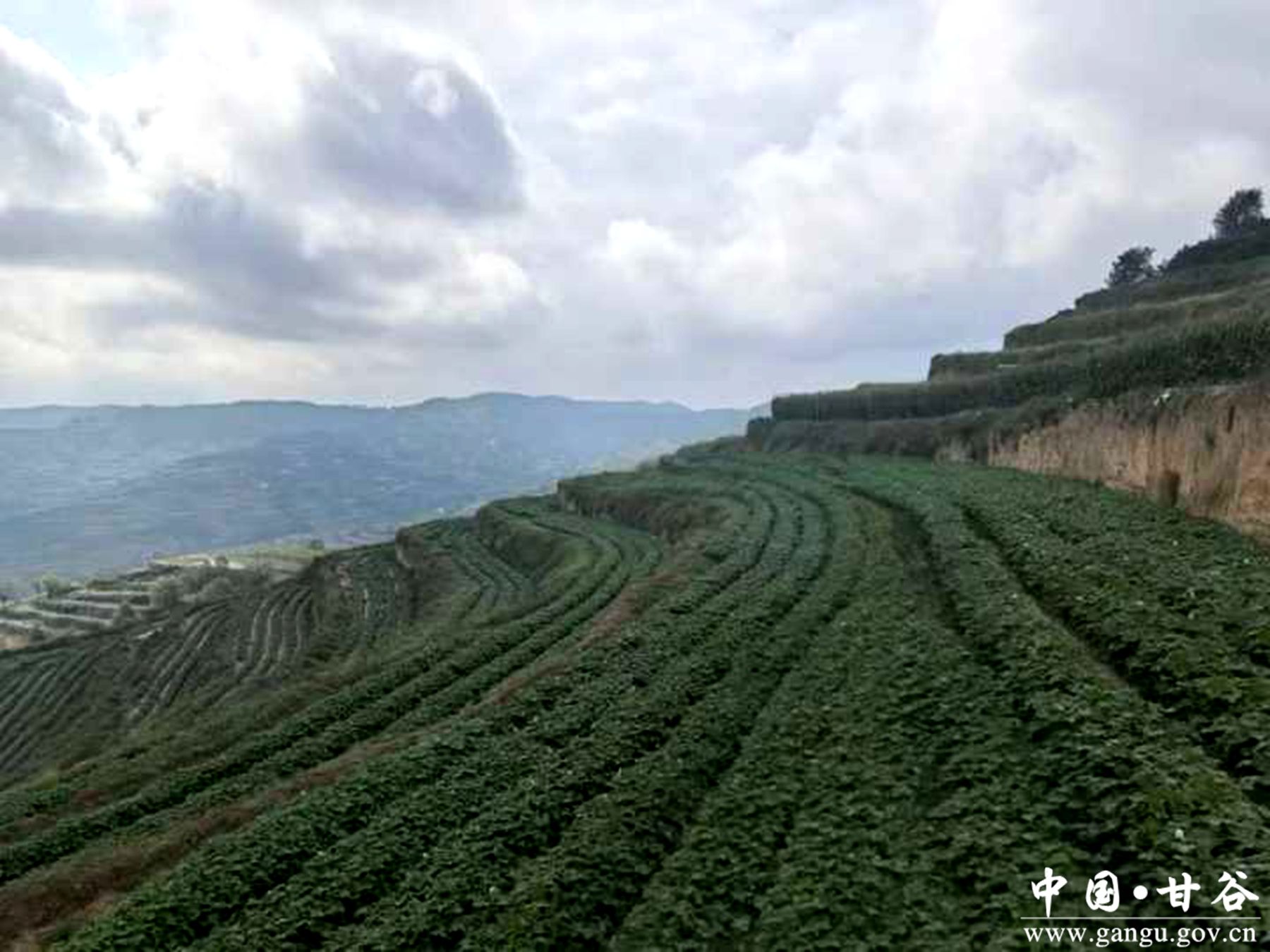 481-2501201K512Z1 481-2501201K512Z1