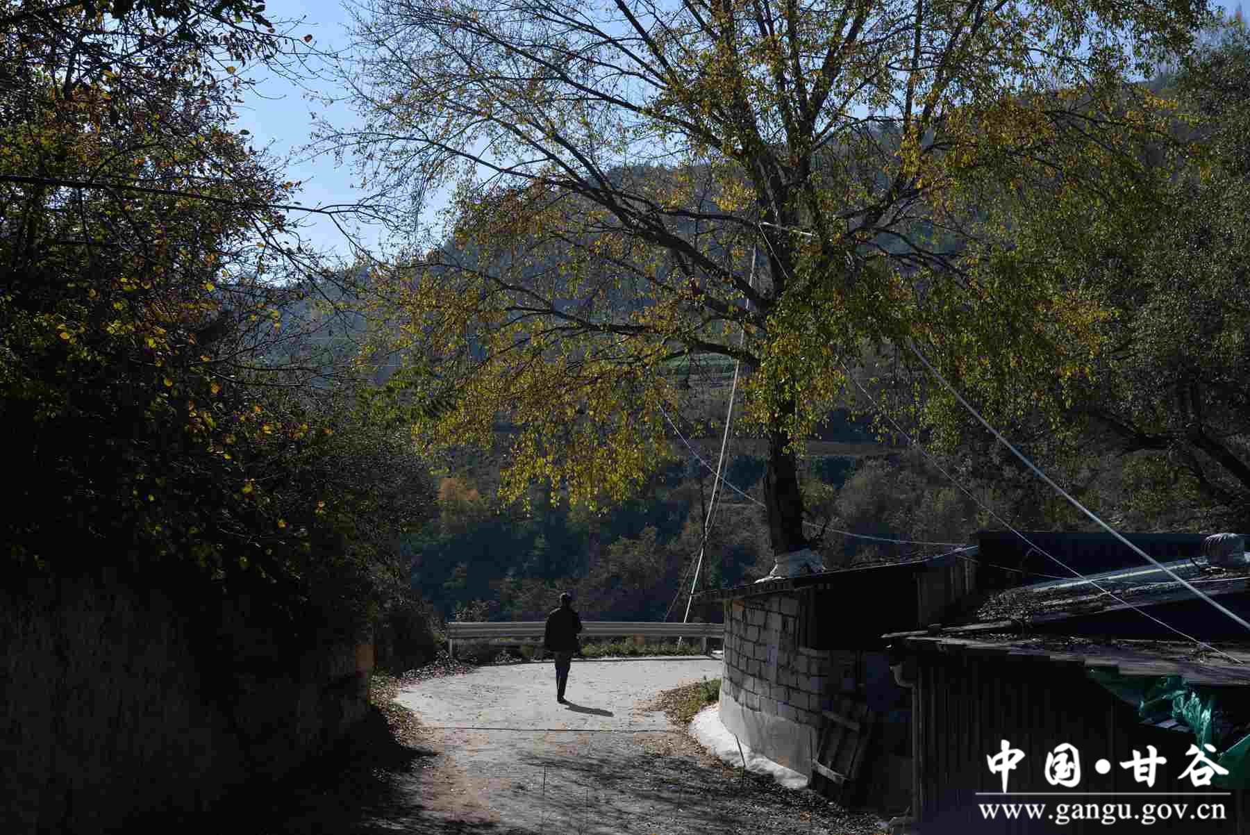 巩建平 (8) 巩建平 (8)