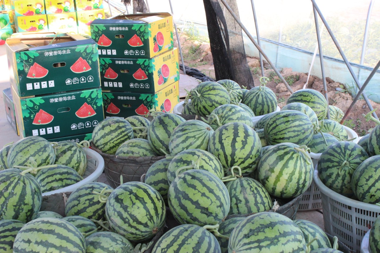 6849af53286944709fc7970045713ca5 6849af53286944709fc7970045713ca5