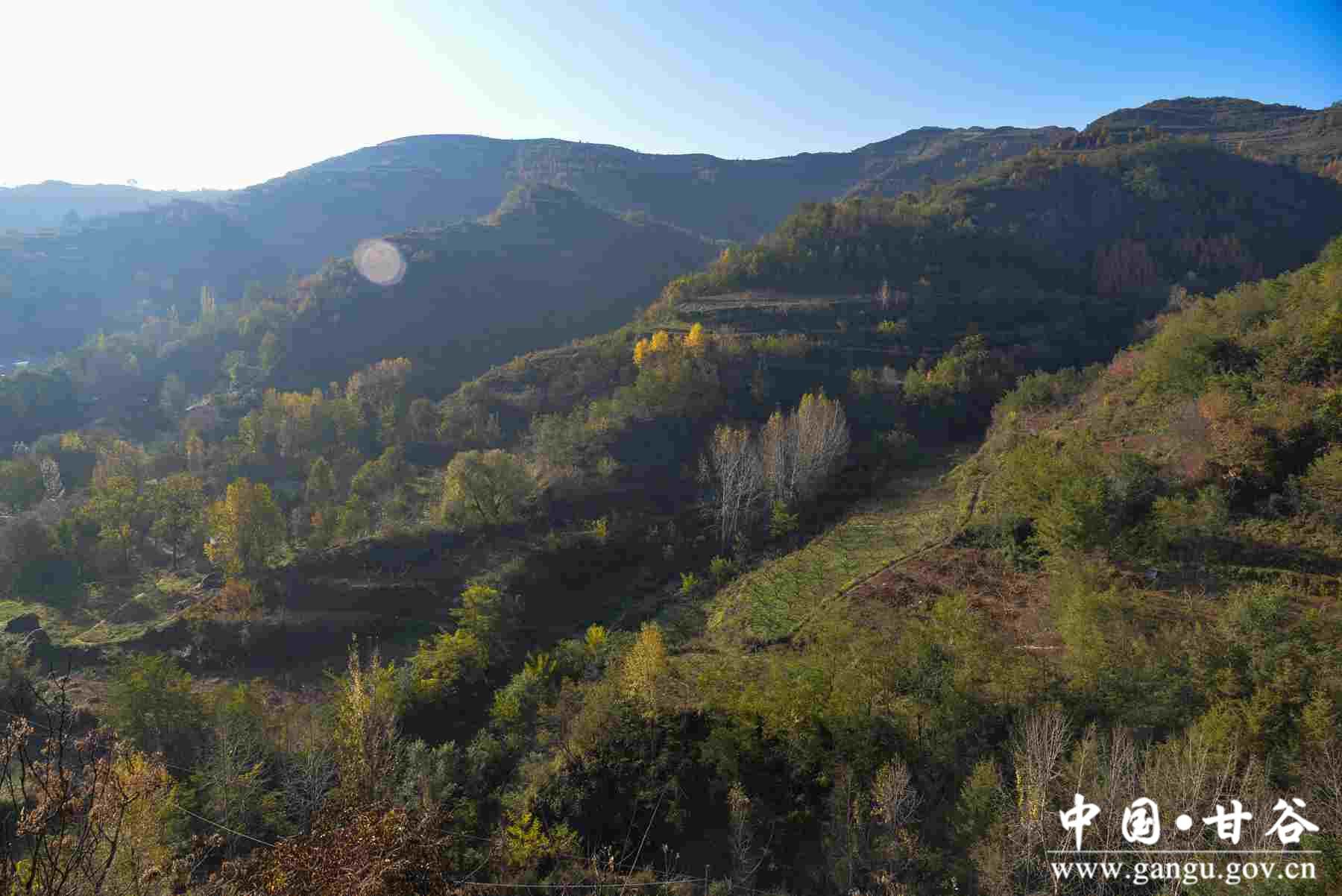 巩建平 (5) 巩建平 (5)