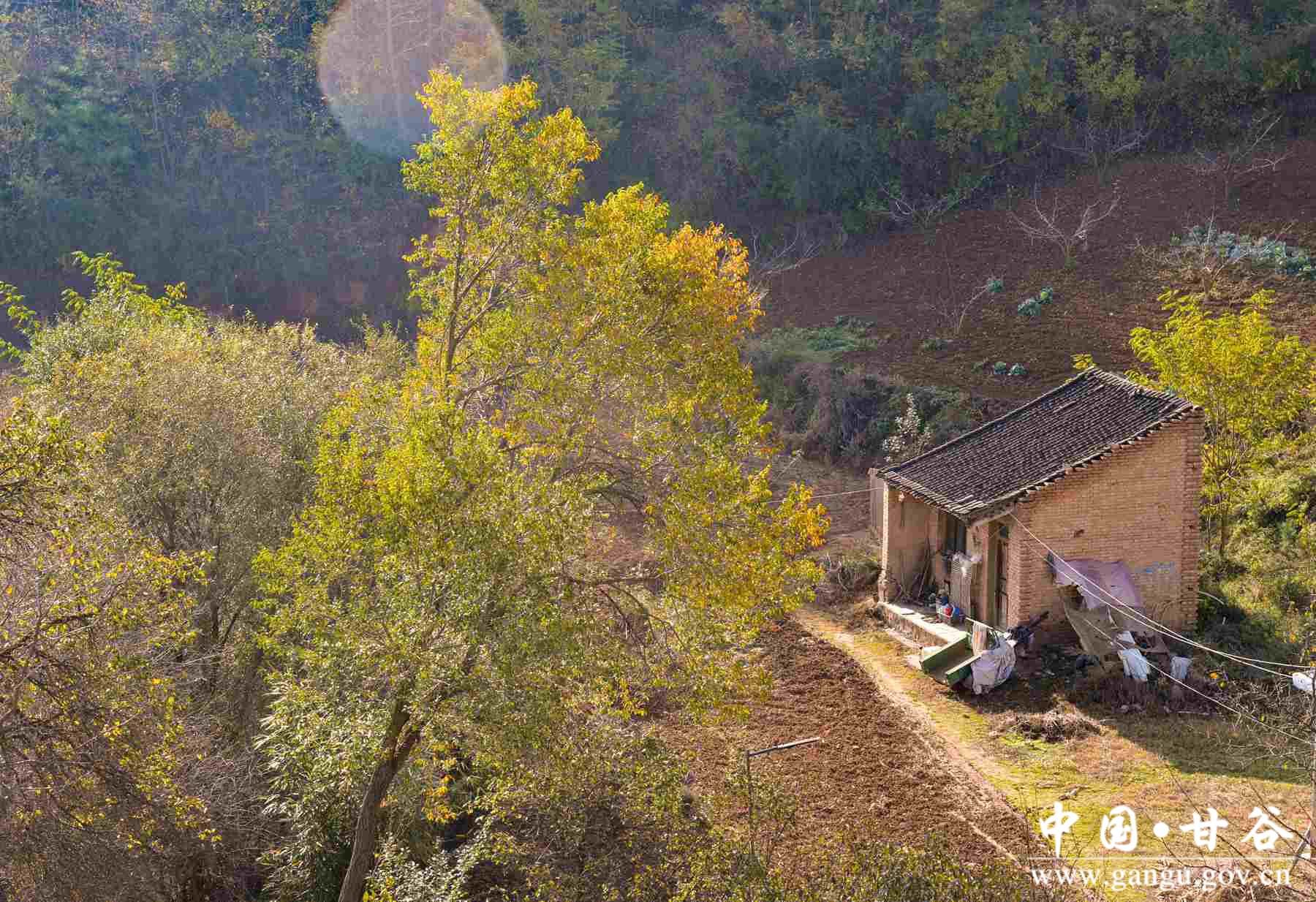 巩建平 (6) 巩建平 (6)